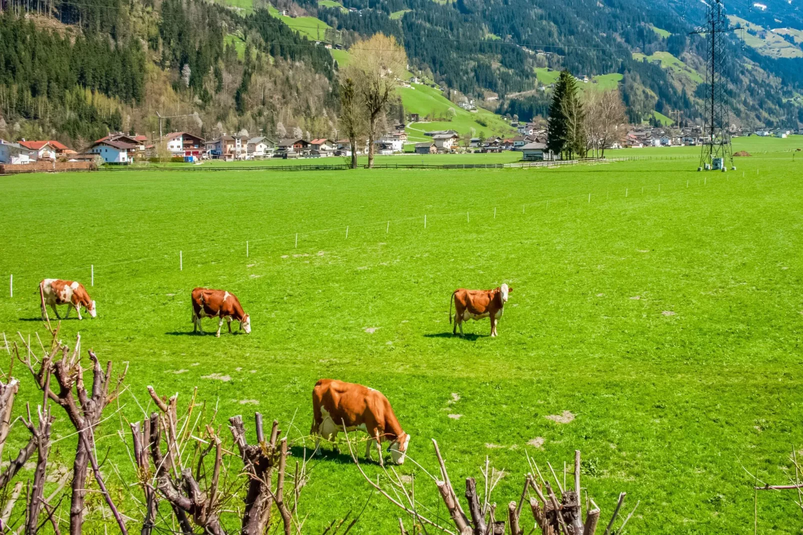 Apartment Zillertalblick-Tuinen zomer