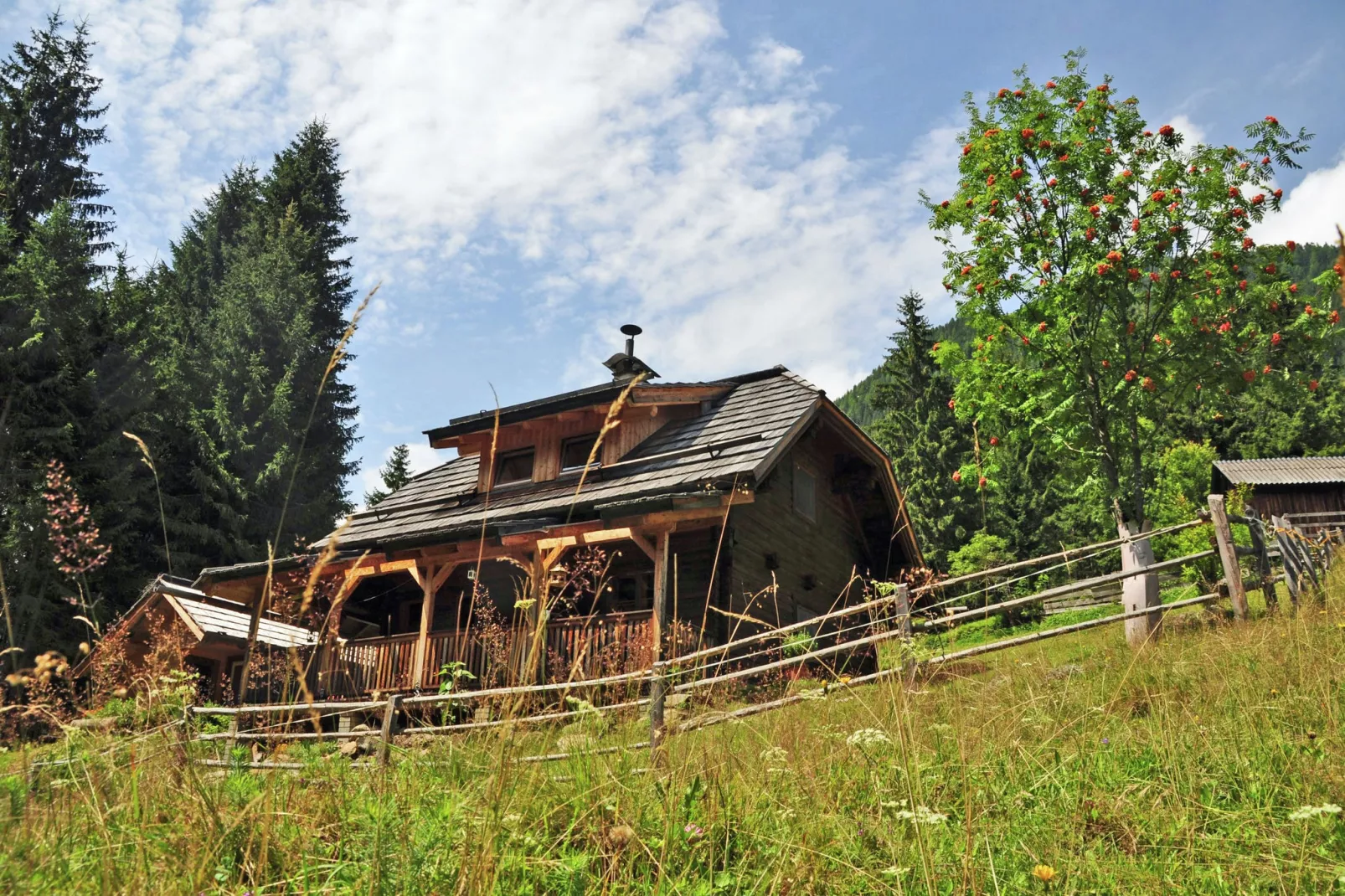 Almhütte im Walde-Buitenkant zomer