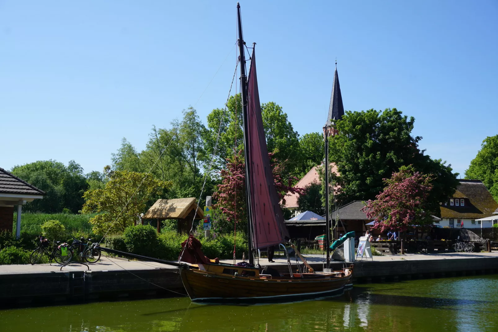 Sunflower B auf der Halbinsel Fischland Darß-Gebieden zomer 20km