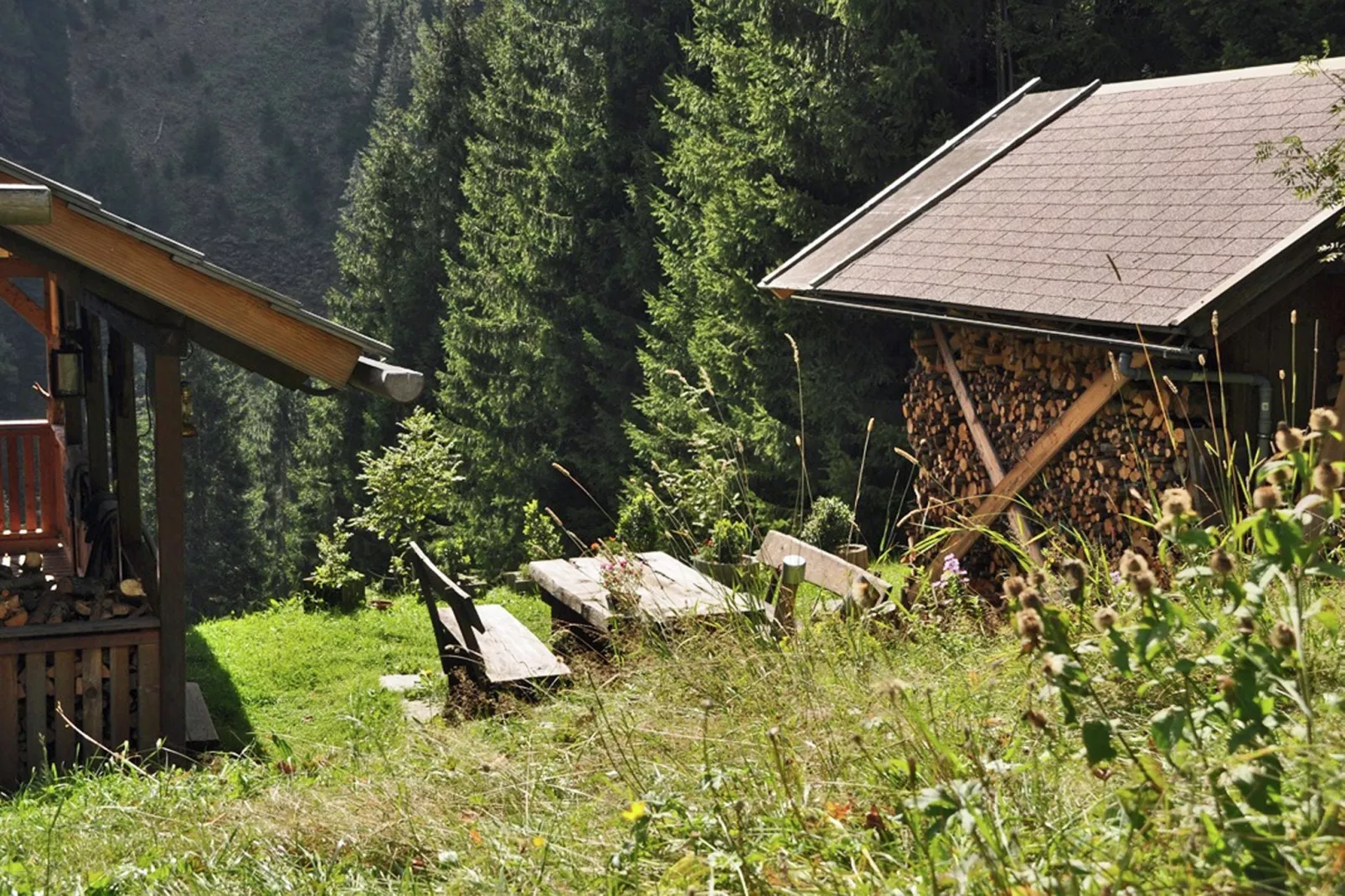 Almhütte im Walde-Tuinen zomer