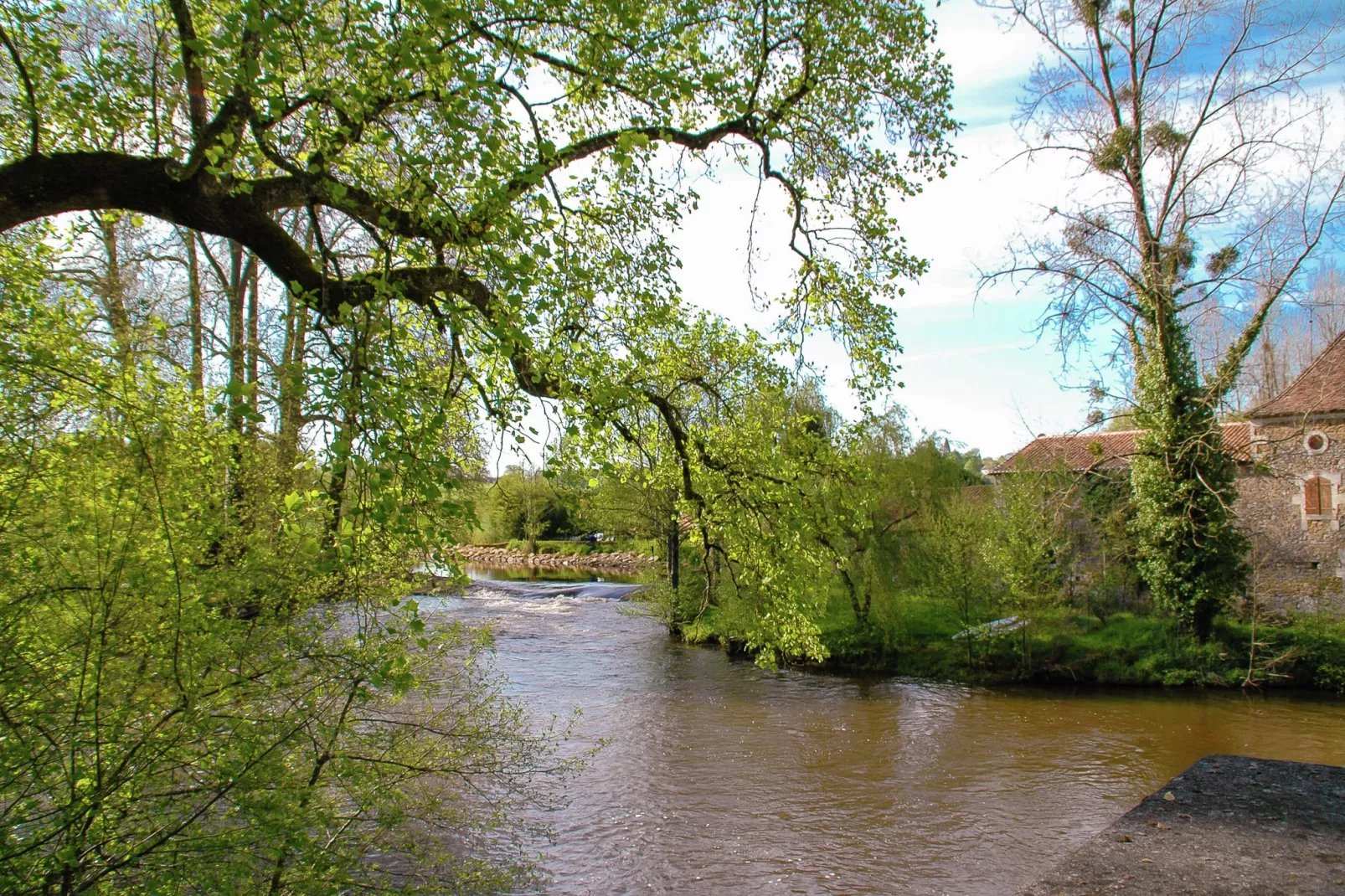 Montizon-Gebieden zomer 1km