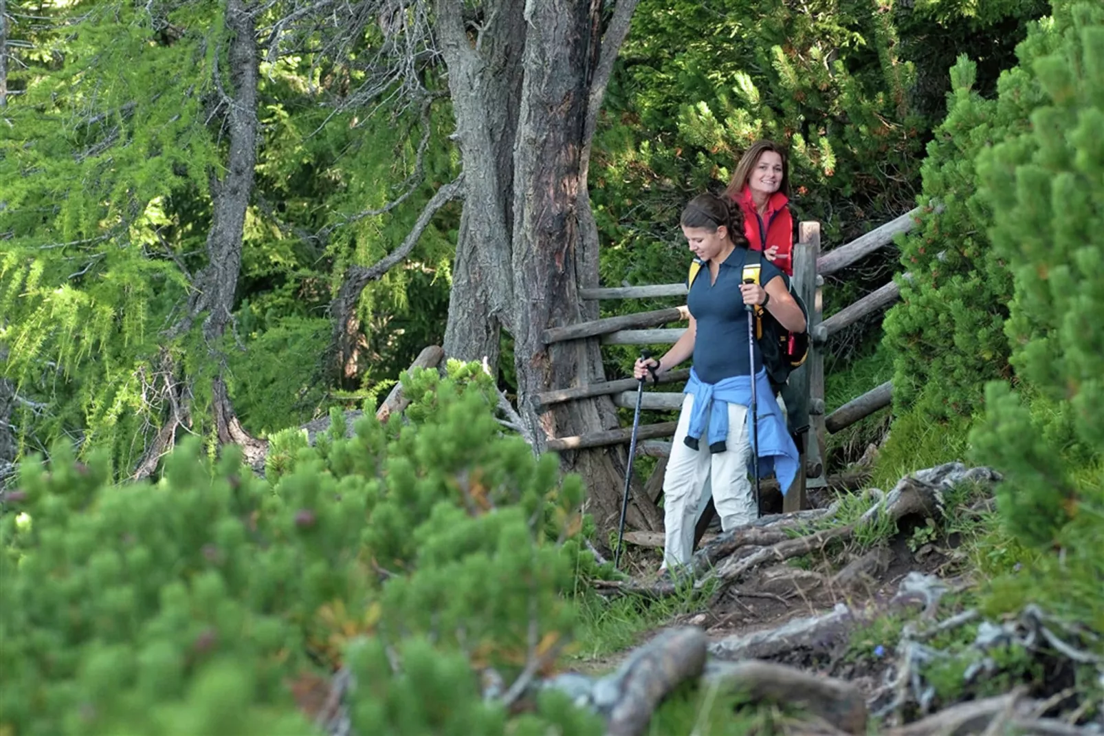 Almhütte im Walde-Gebieden zomer 5km