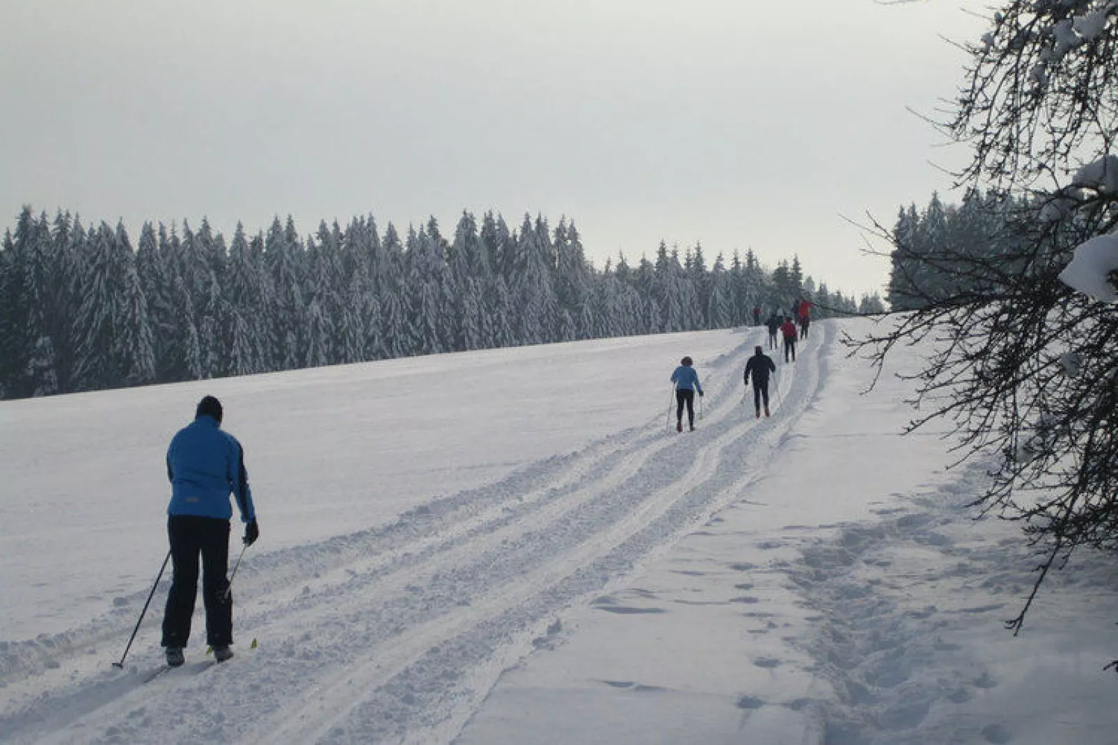 Gästehaus Kandlbinder-Gebied winter 5km