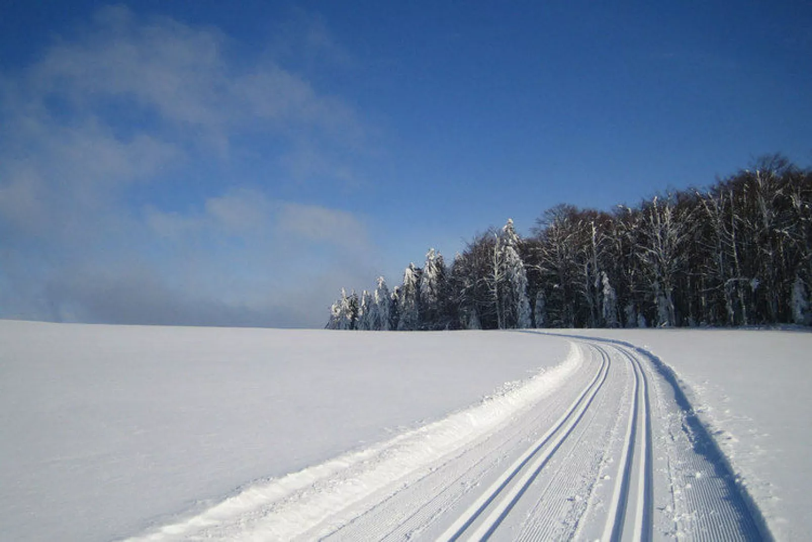 Gästehaus Kandlbinder-Gebied winter 20km