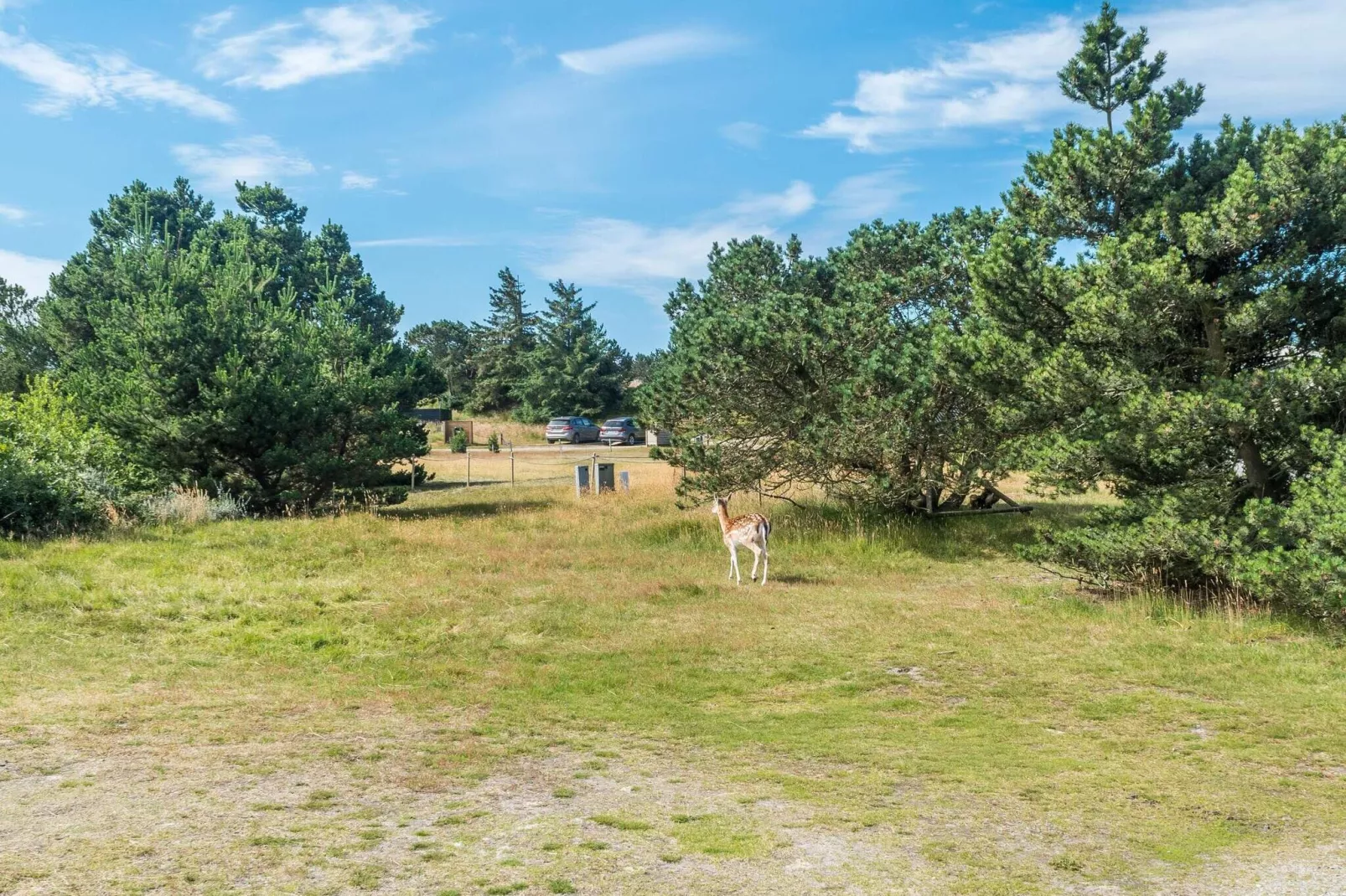 8 persoons vakantie huis in Fanø-Uitzicht