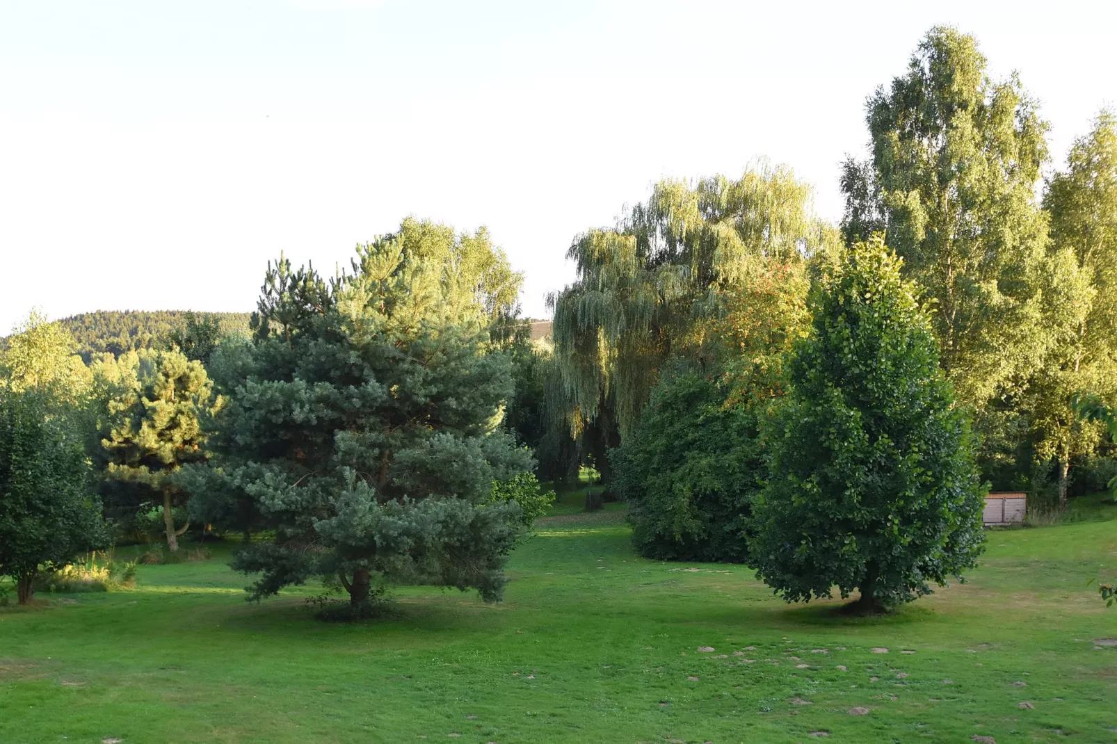 Waldferien-Tuinen zomer