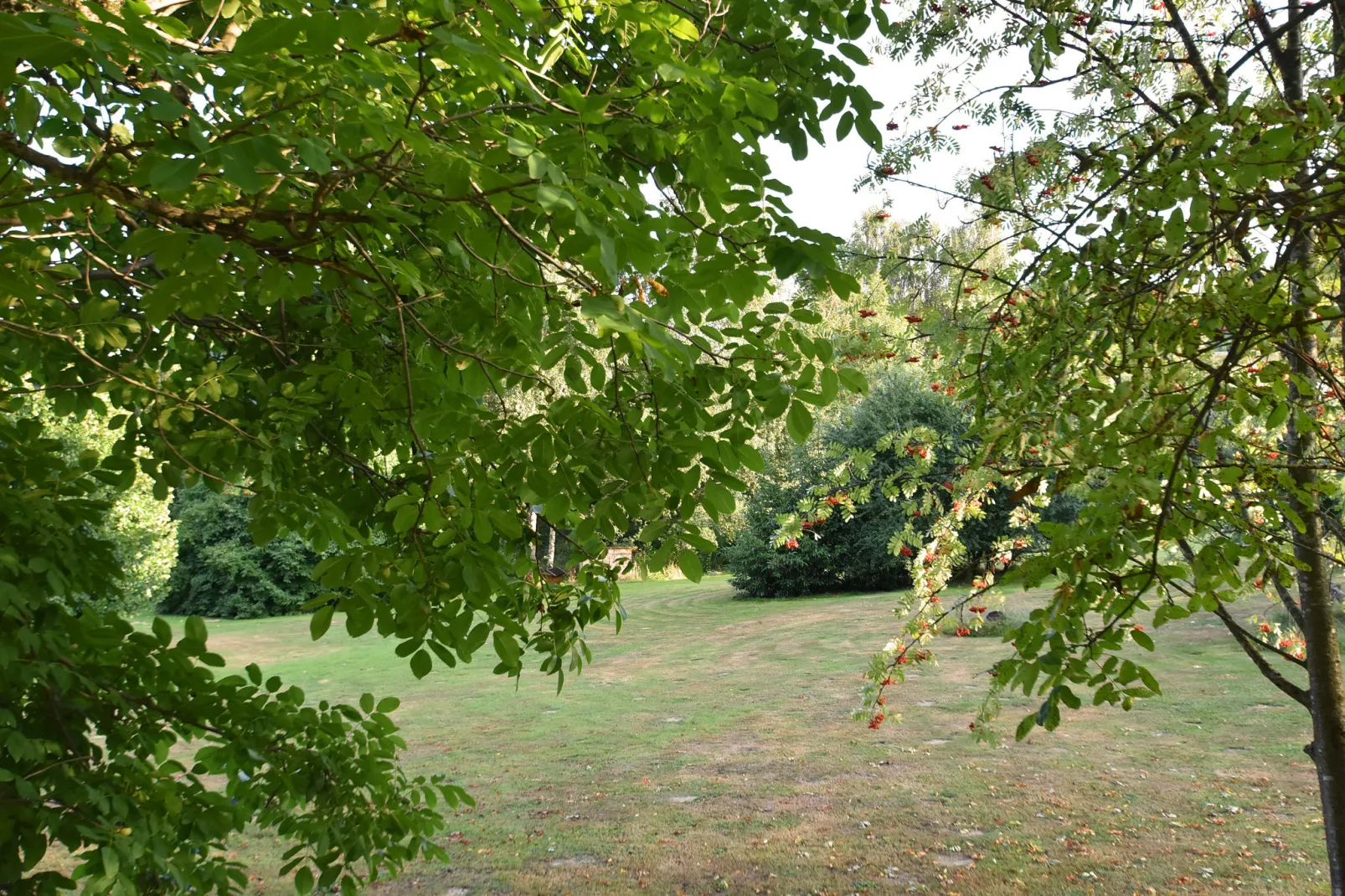 Waldferien-Uitzicht zomer