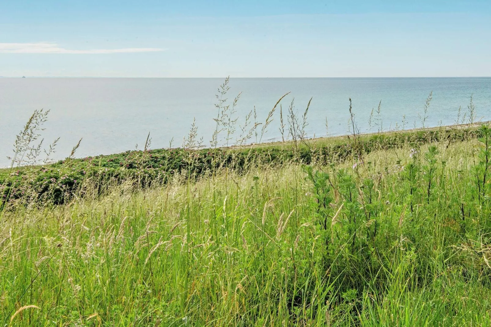 Zeezicht Panorama Retreat -- By Traum Ferienwohnungen-Waterzicht