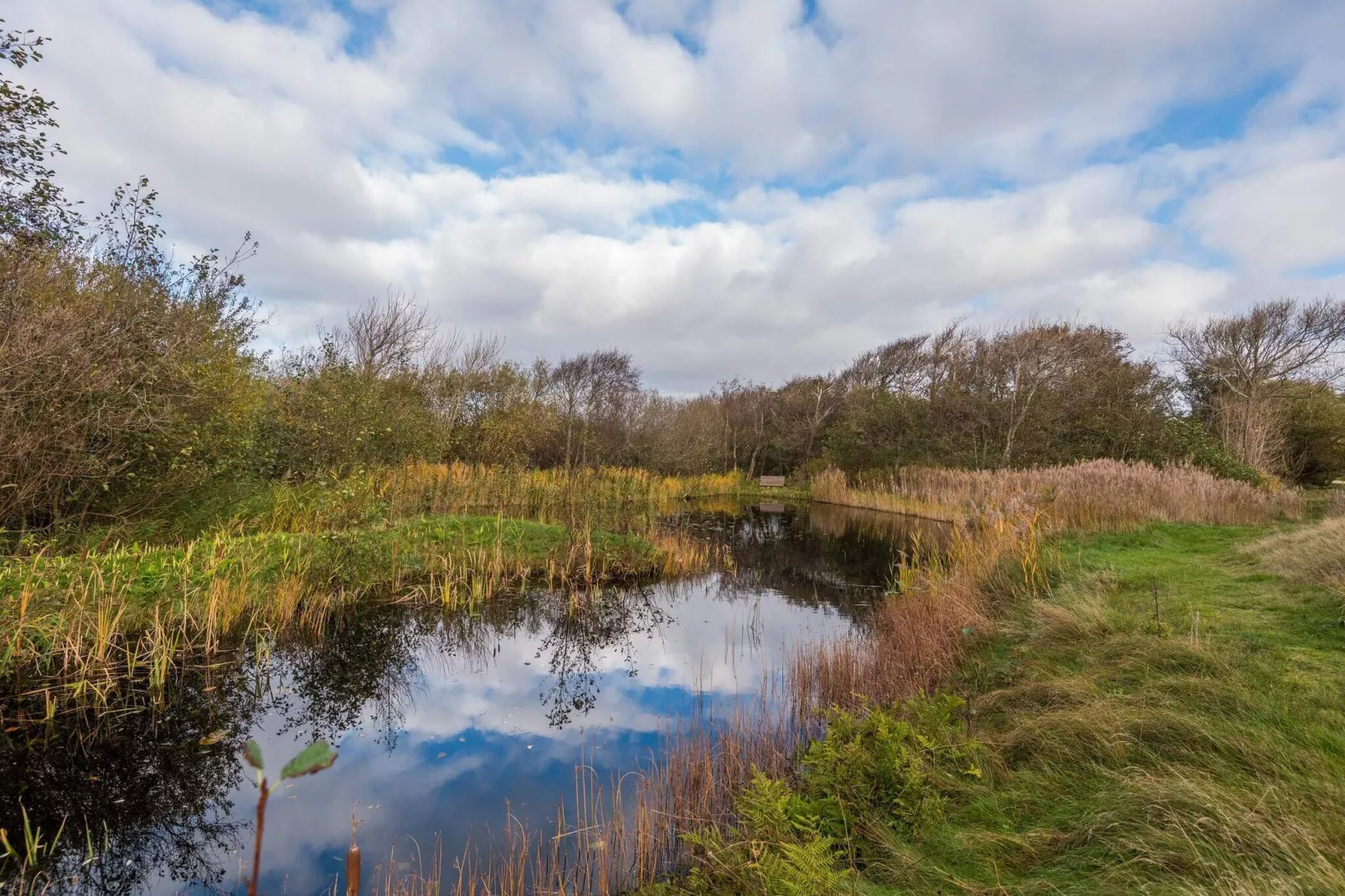 6 persoons vakantie huis in Fanø-Buitenlucht