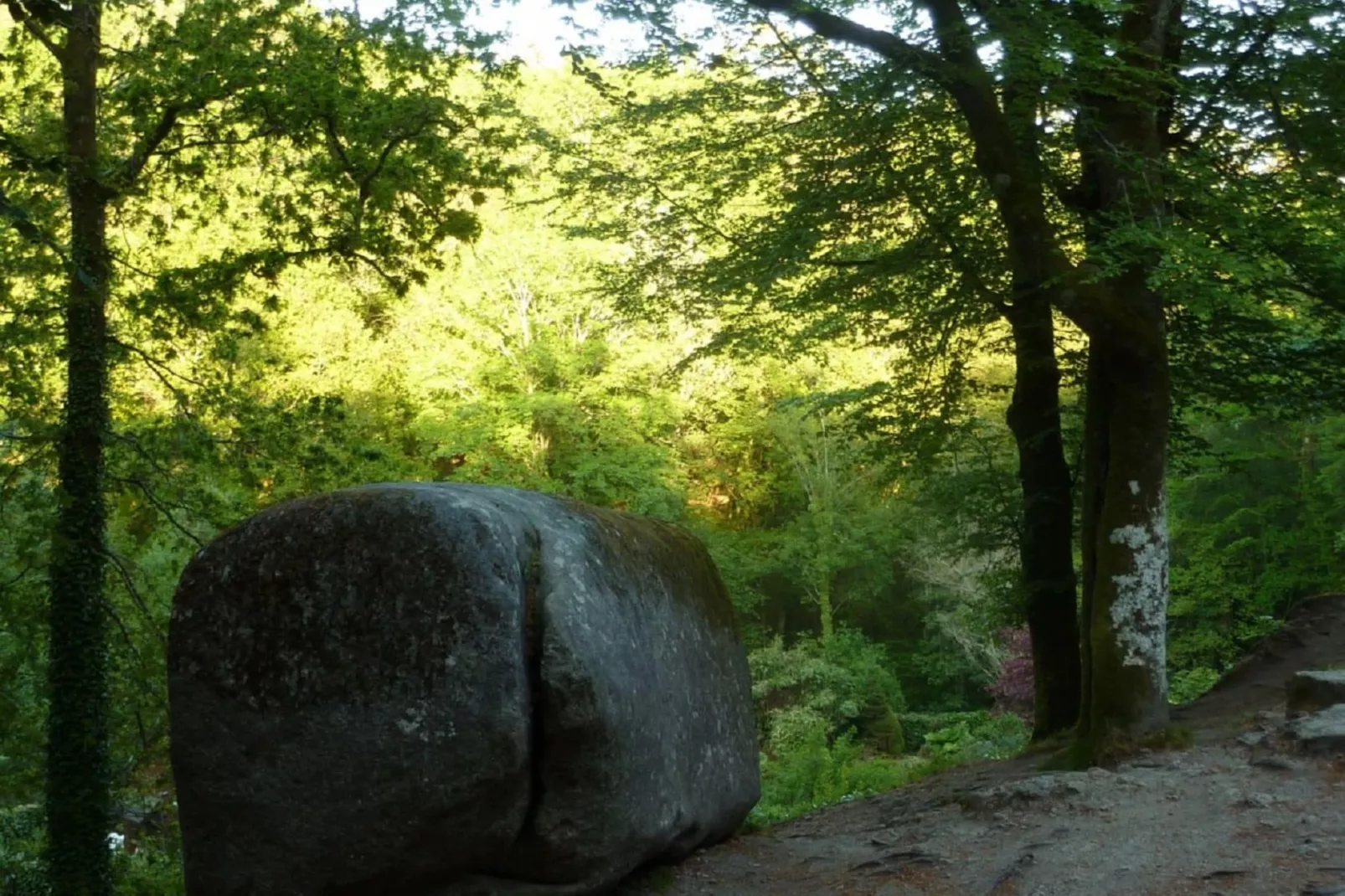 Arrée-Gebieden zomer 1km