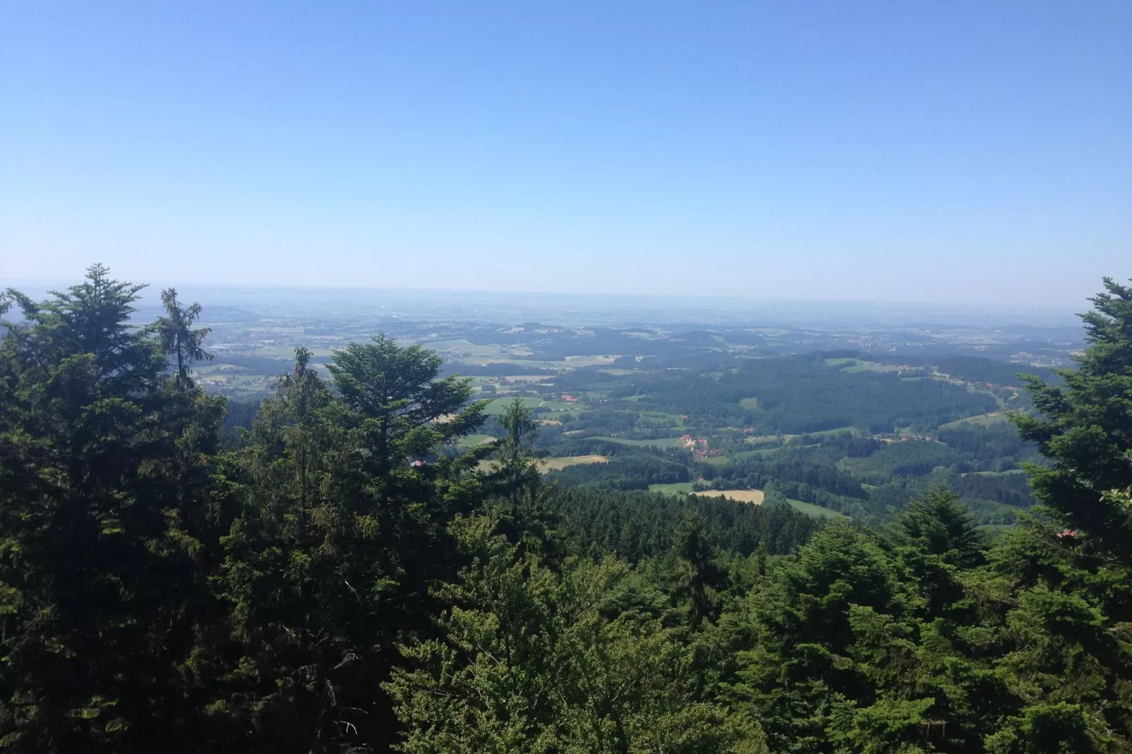 Im Zellertal-Gebieden zomer 5km