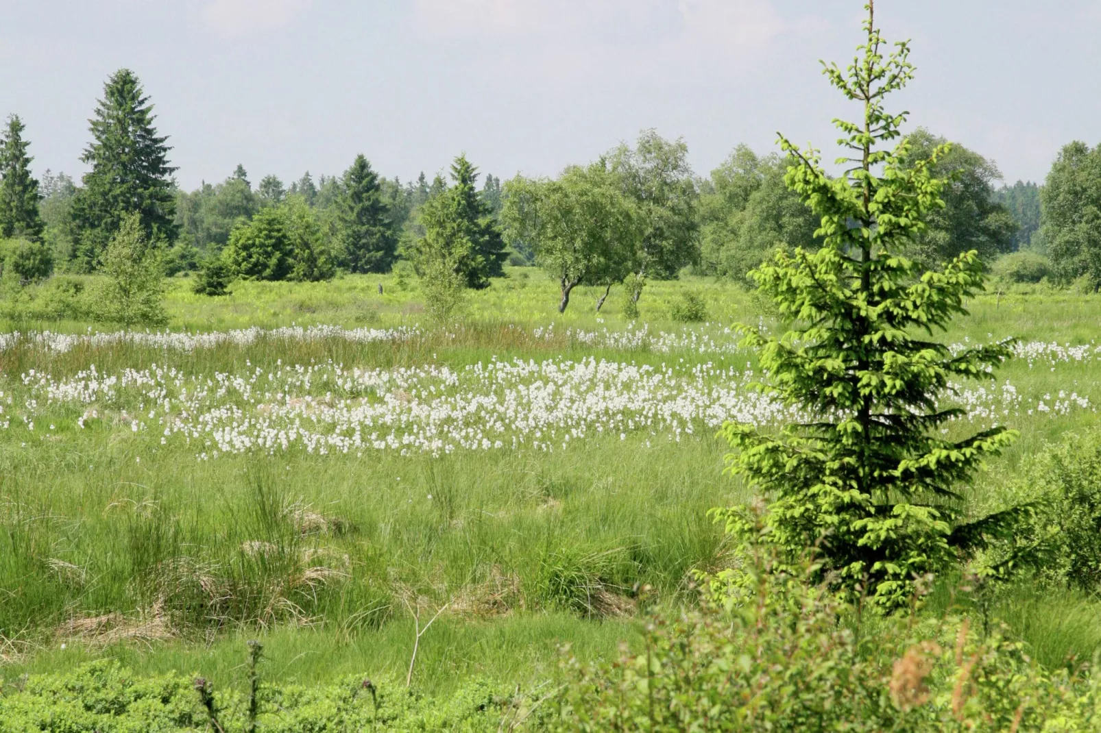 Maison Ondenval-Gebieden zomer 20km