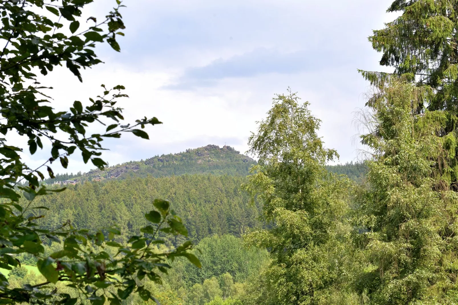 Bayerischer Wald-Uitzicht zomer