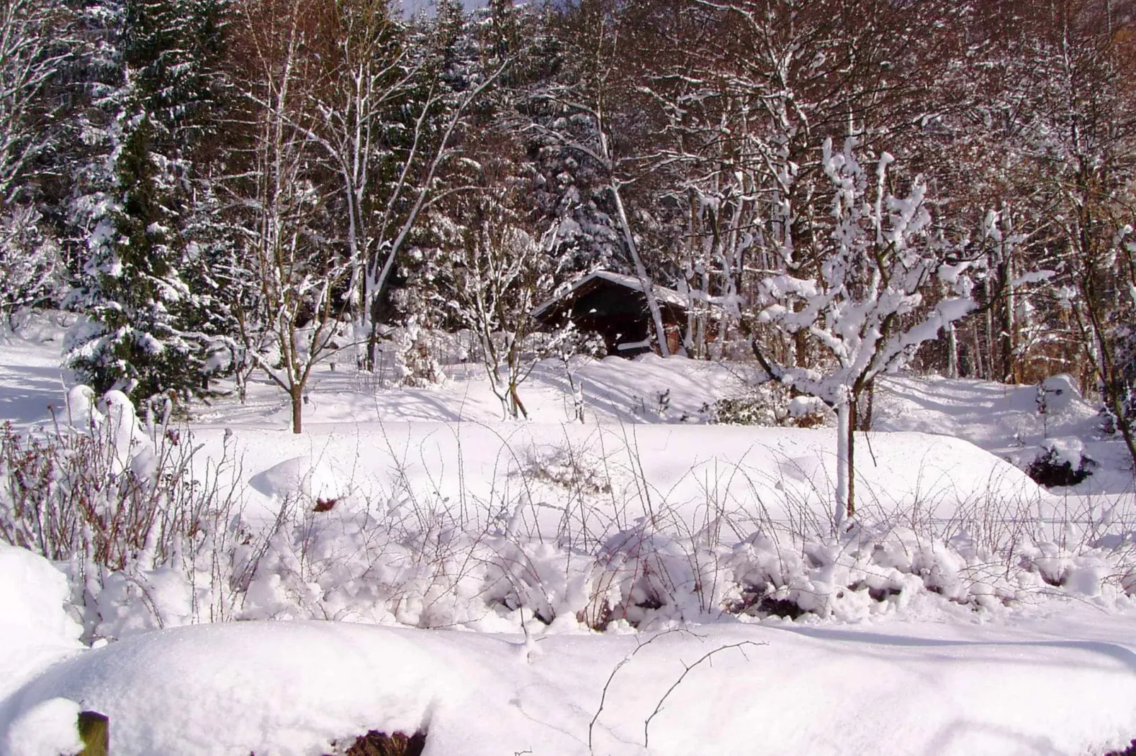 Weidhaus-Gebied winter 1km