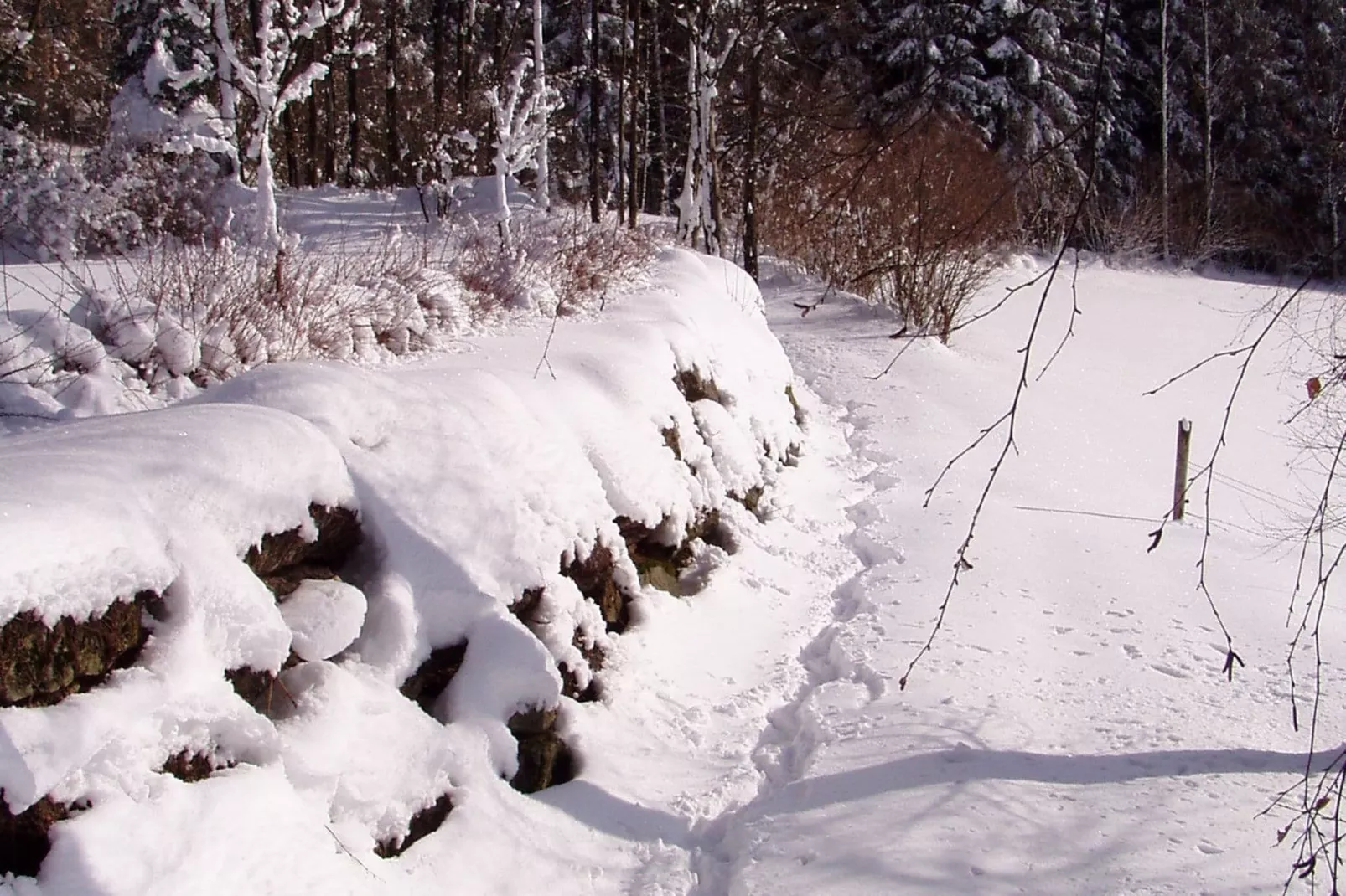 Weidhaus-Gebied winter 1km