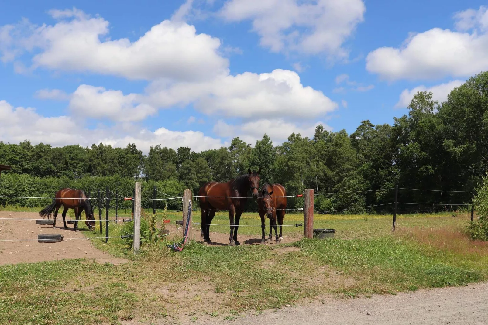 4 persoons vakantie huis in MUNKA-LJUNGBY-Niet-getagd