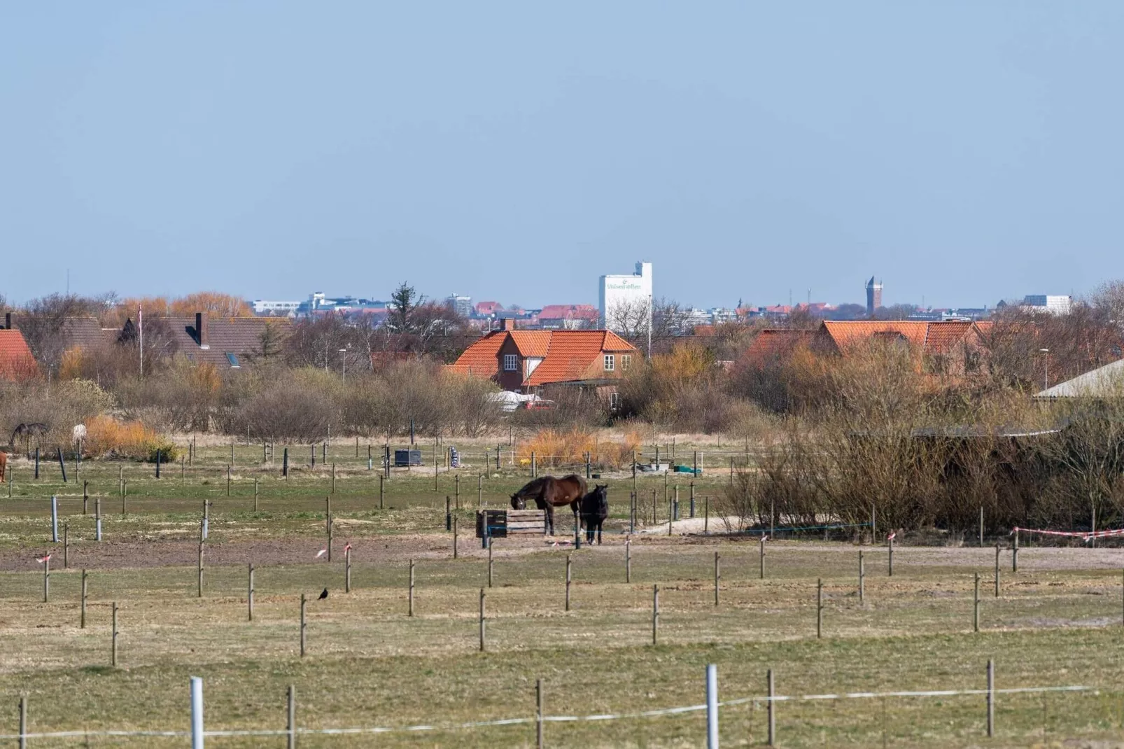 8 persoons vakantie huis in Fanø-Buitenlucht