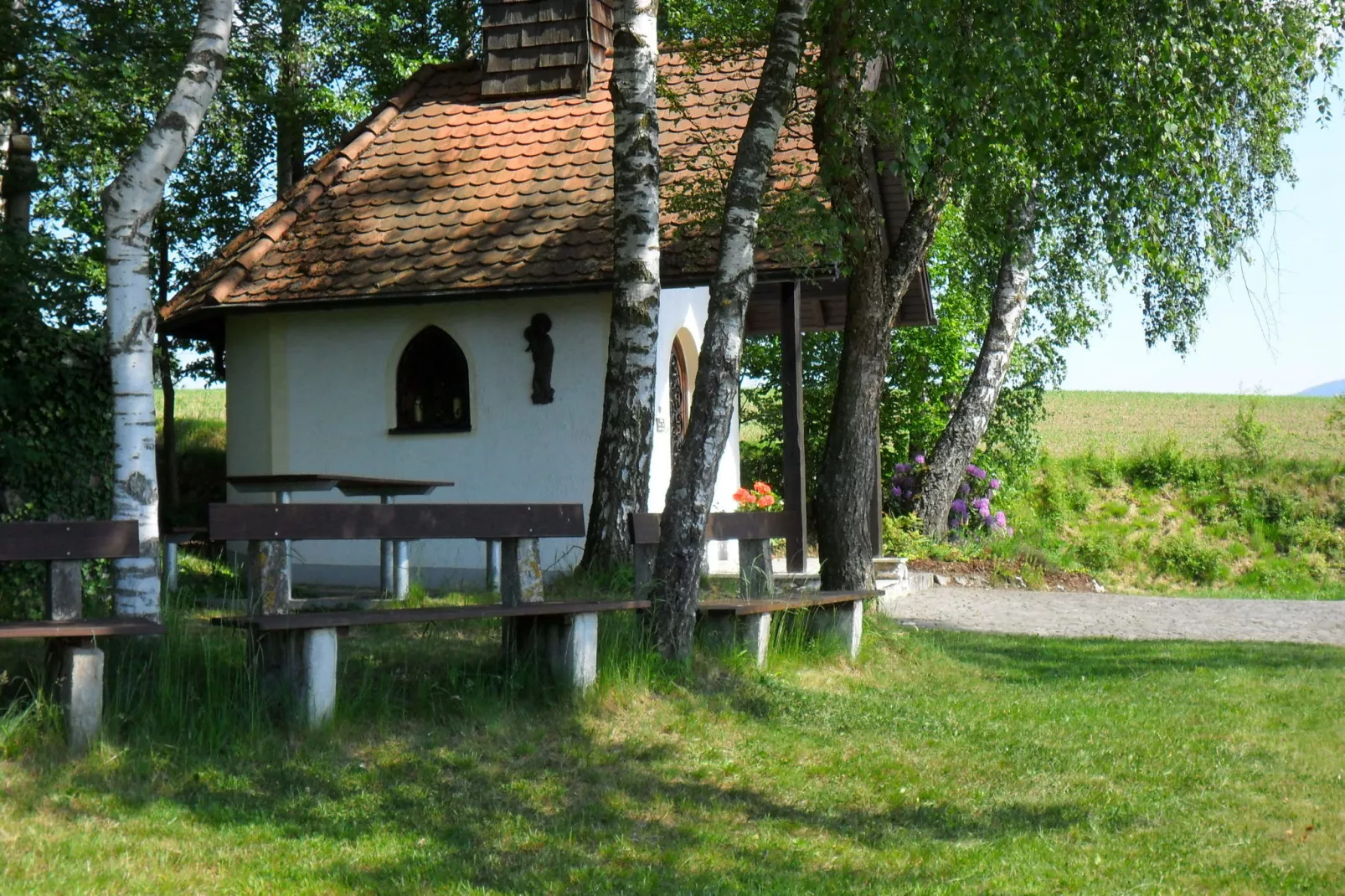 Bayerischer Wald-Gebieden zomer 1km