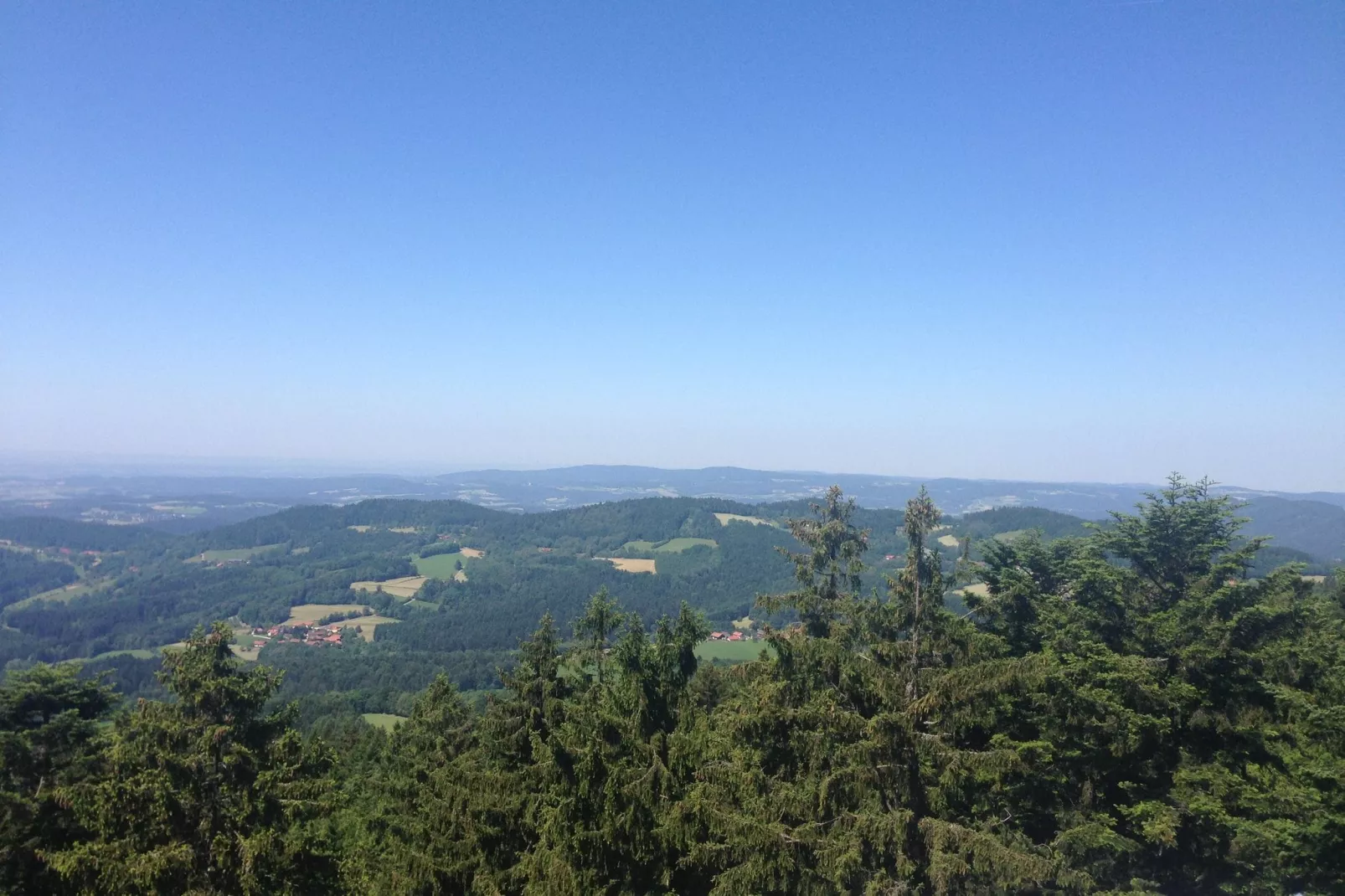 Bayerischer Wald-Gebieden zomer 20km