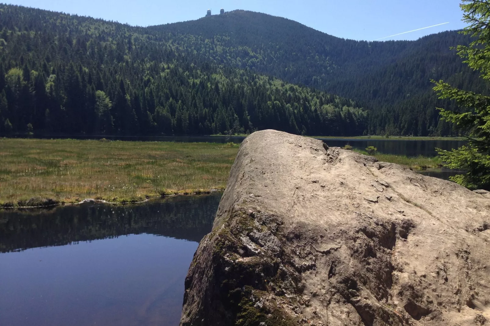 Bayerischer Wald-Gebieden zomer 20km