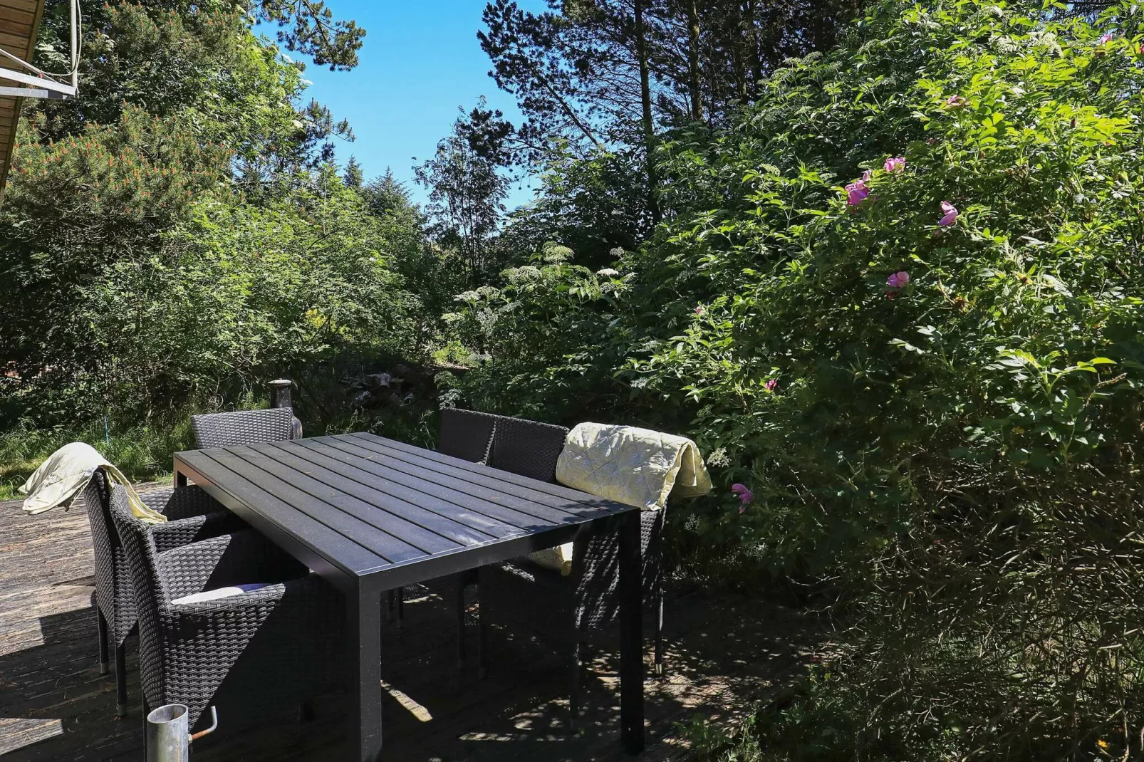 6 persoons vakantie huis in Blokhus-By Traum-Uitzicht