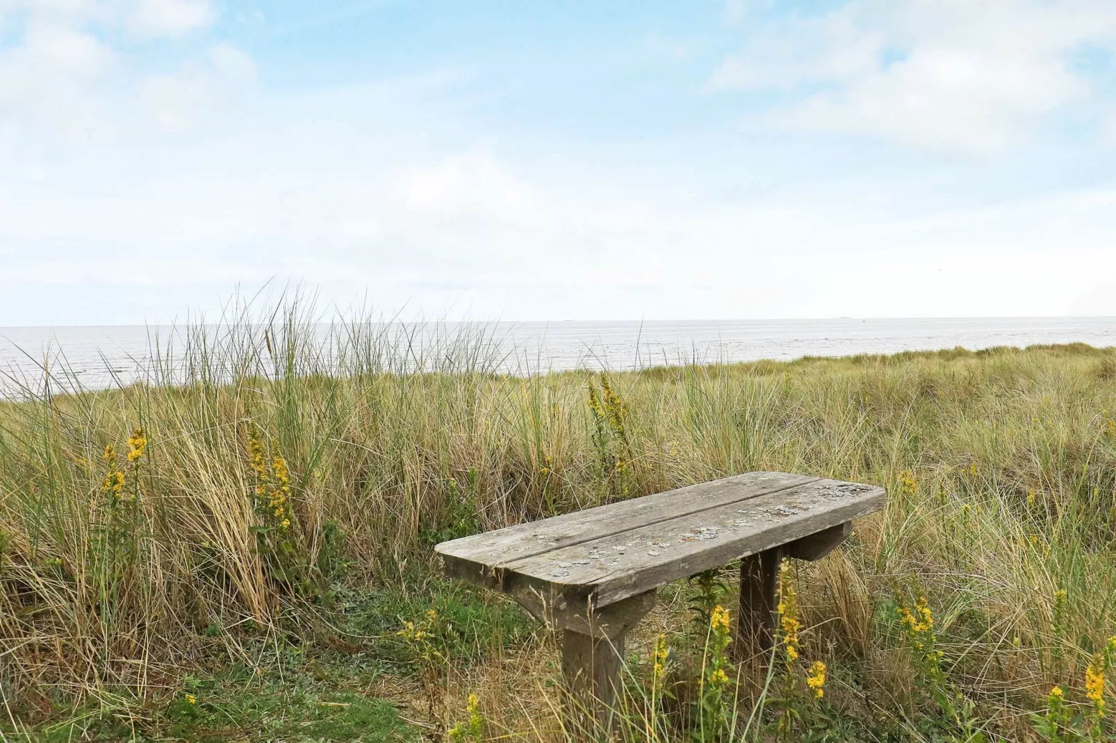 8 persoons vakantie huis in Jerup-By Traum-Niet-getagd