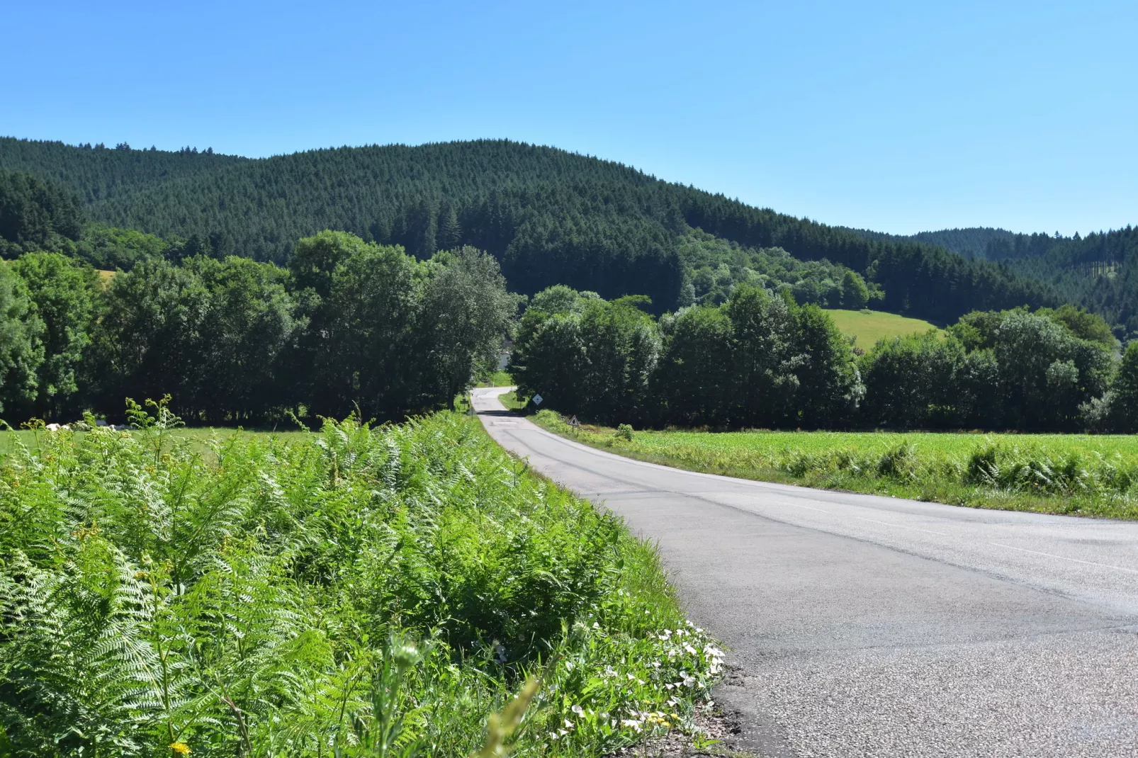 Maison de Vacances Gacogne-Gebieden zomer 20km