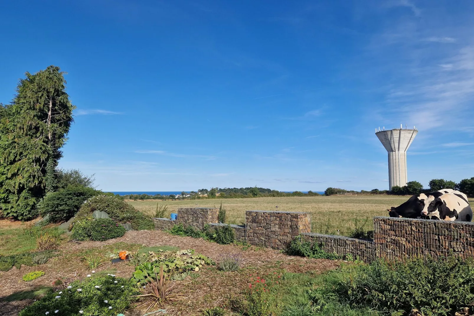 Maison plain-pied Etables-sur-Mer-Uitzicht zomer