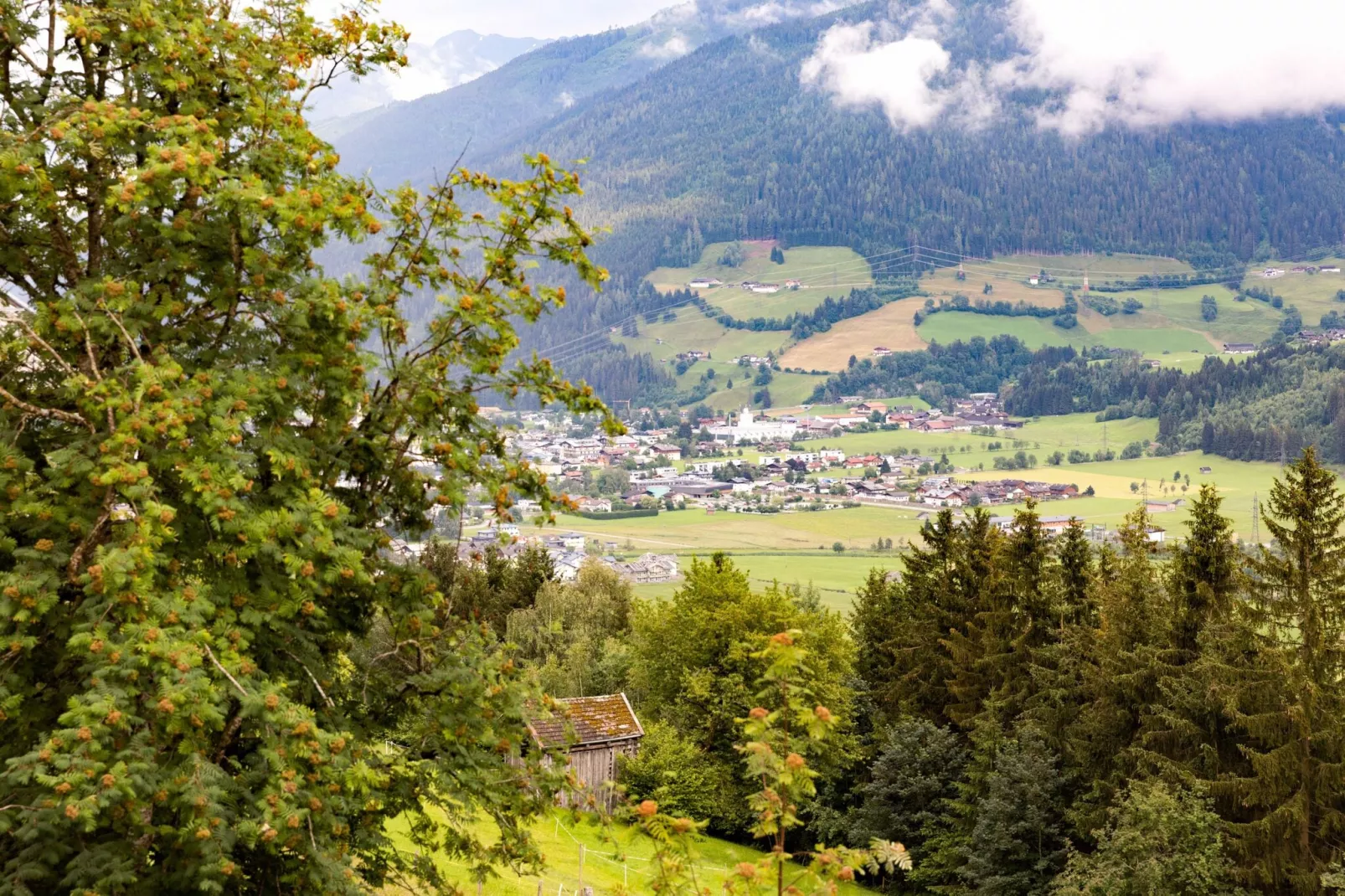 Schlossblick-Uitzicht zomer