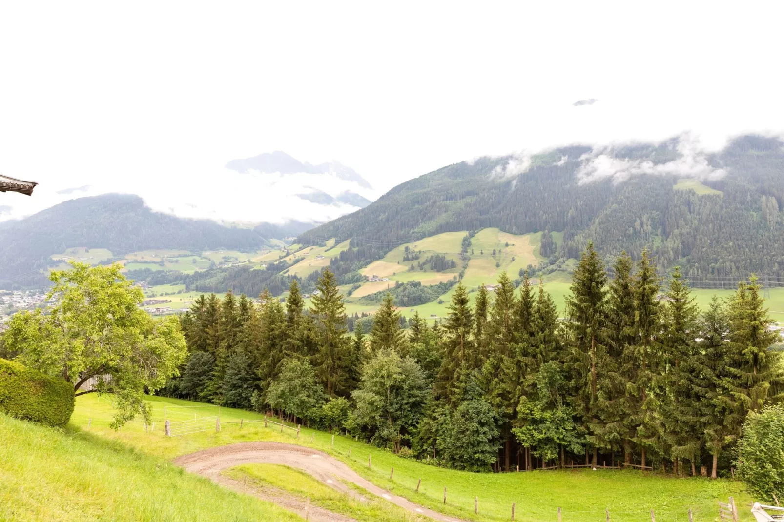 Schlossblick-Gebieden zomer 5km