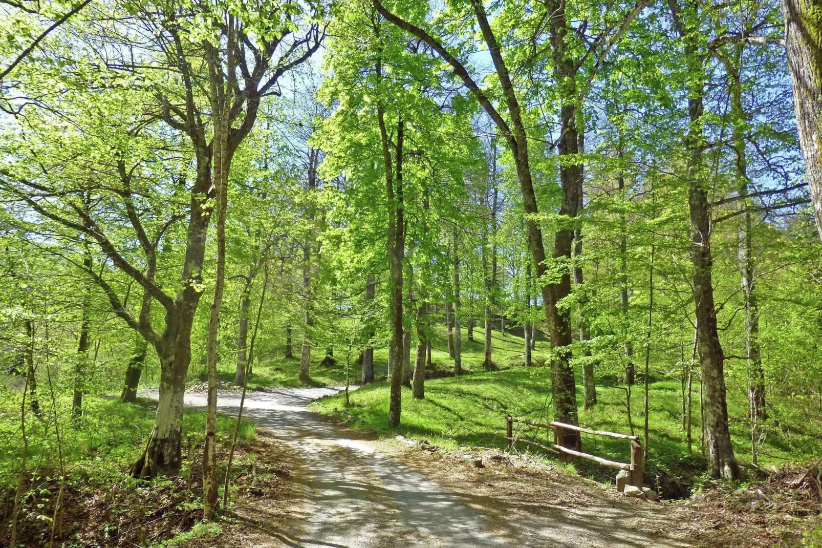 Gualtierottivilla-Gebieden zomer 5km