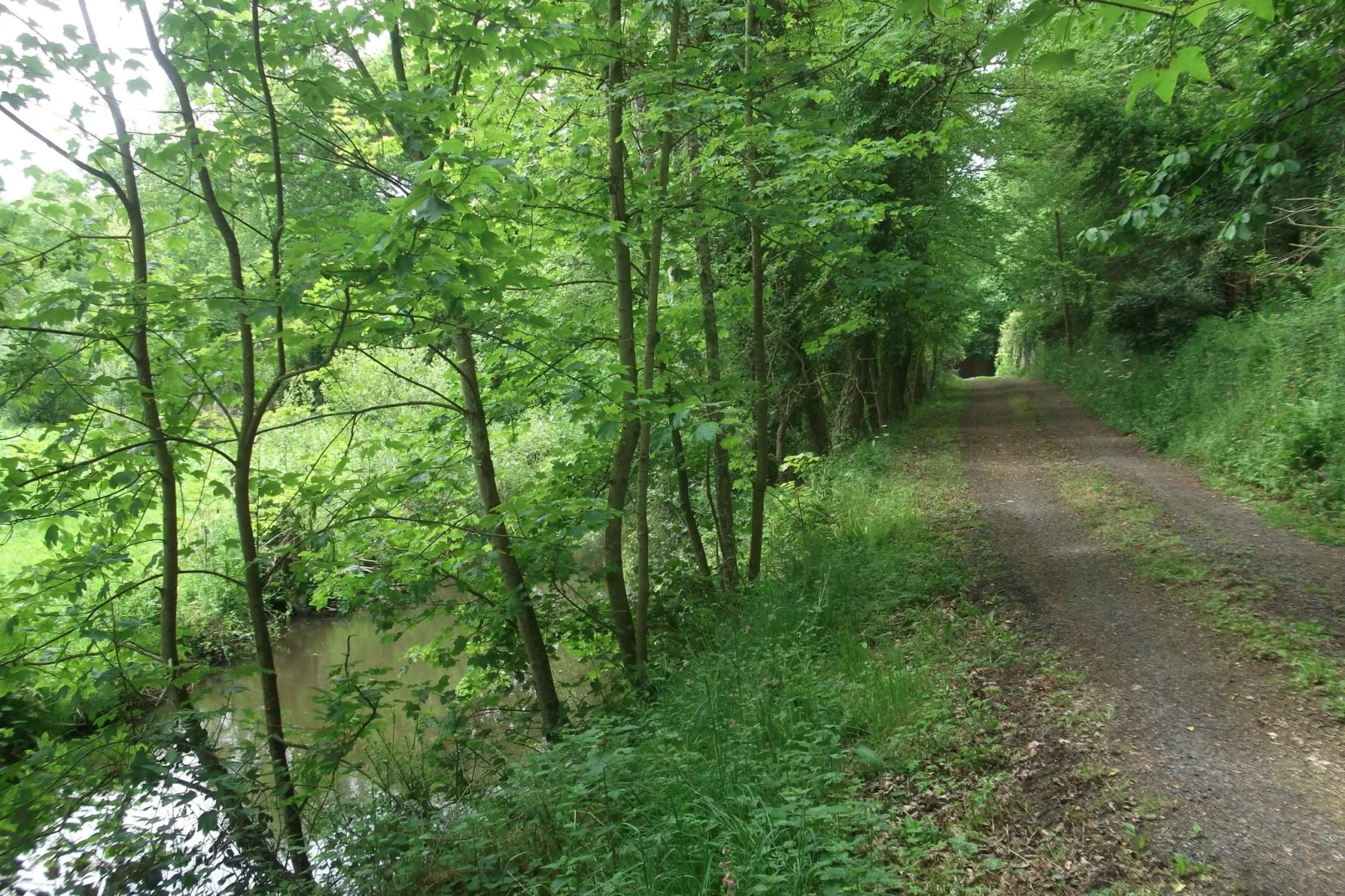 Moulin Bescond-Gebieden zomer 1km