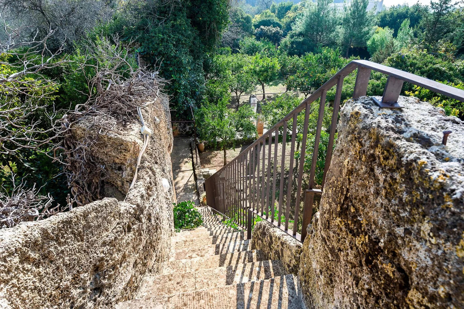 La Casina Della Quiete-Hal-ontvangst