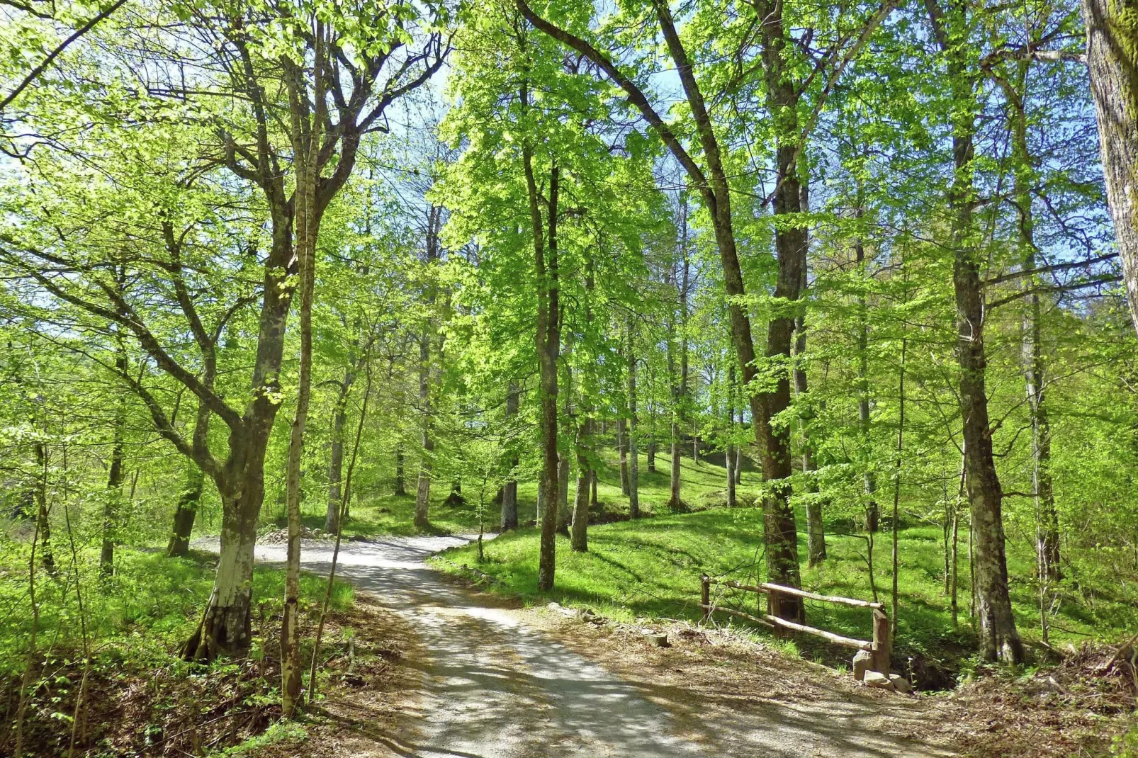 Gualtierotti-Gebieden zomer 5km