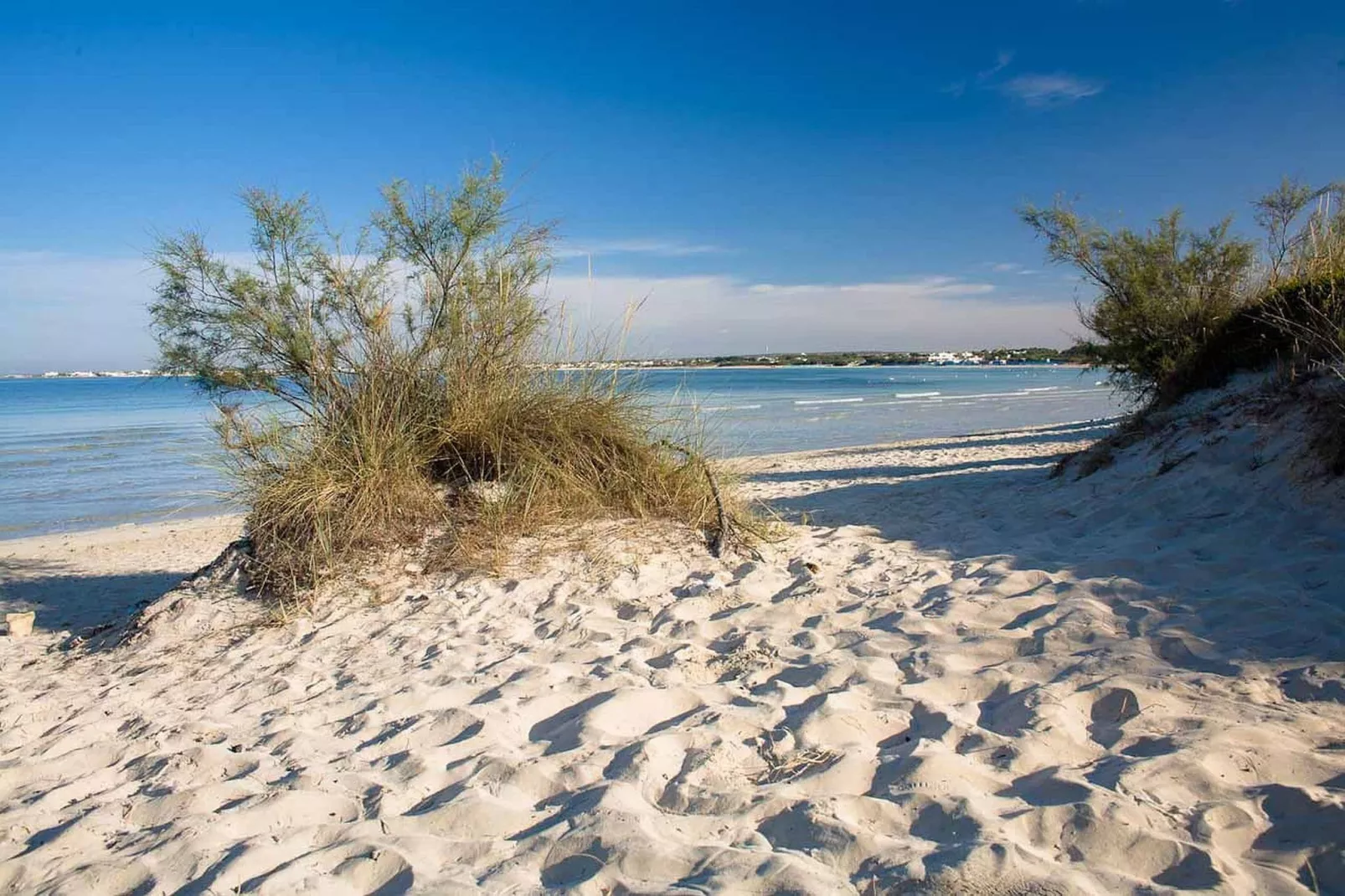 La Casina Della Quiete-Gebieden zomer 5km