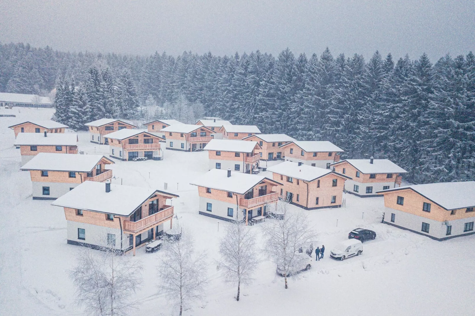 Großer Arber-Exterieur winter