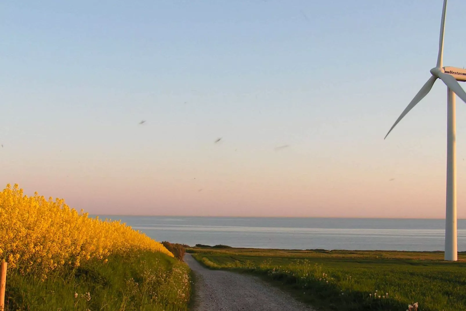 4 persoons vakantie huis in Ærøskøbing-Uitzicht