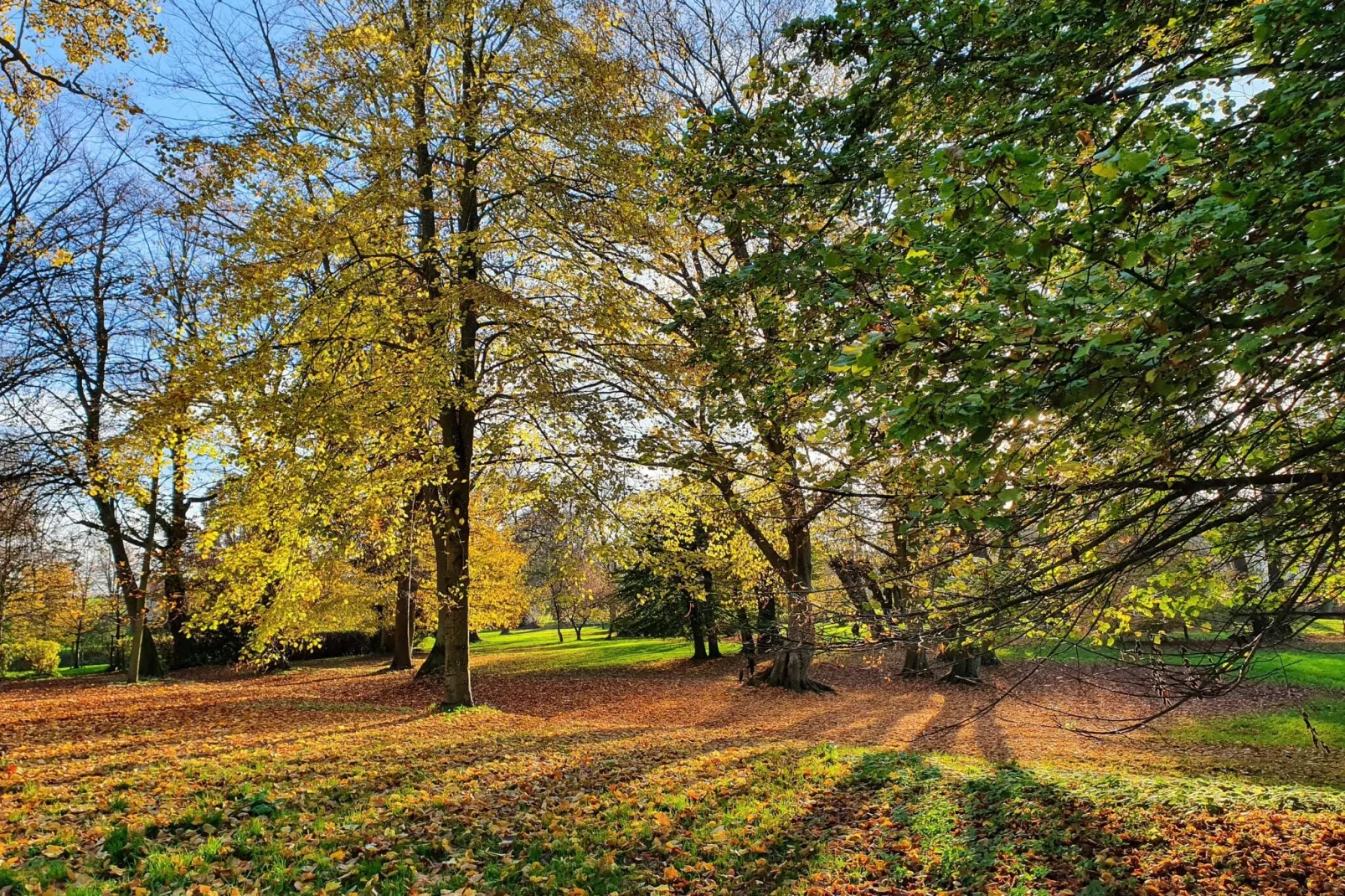 Gartenblick bei Gerdshagen-Tuinen zomer