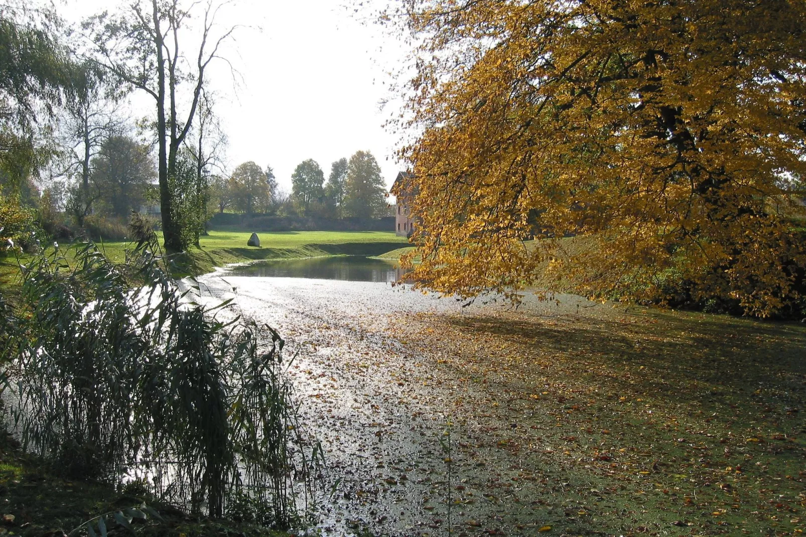 Gartenblick bei Gerdshagen-Gebieden zomer 1km