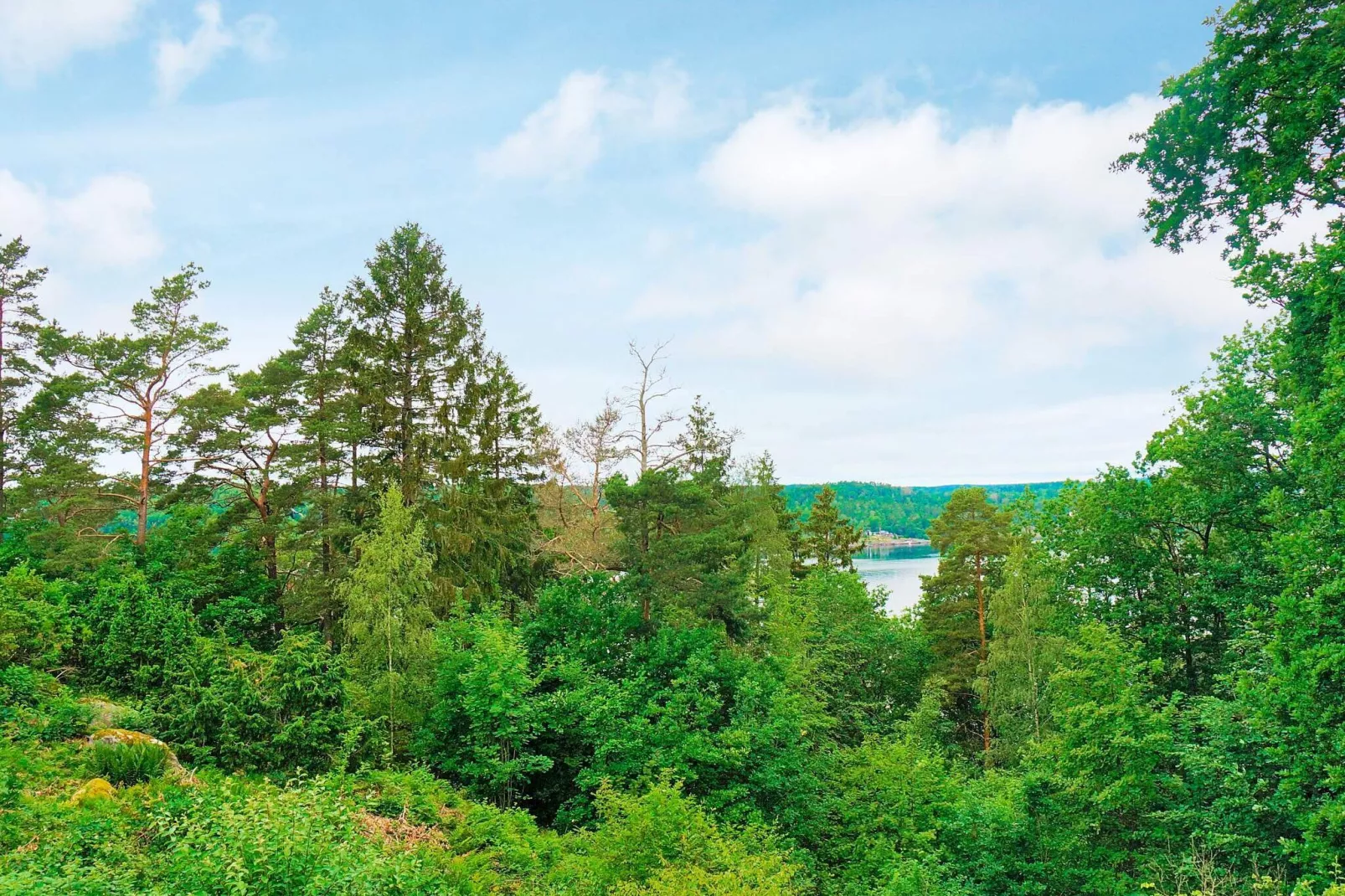 6 persoons vakantie huis in LJUNGSKILE-By Traum-Buitenlucht