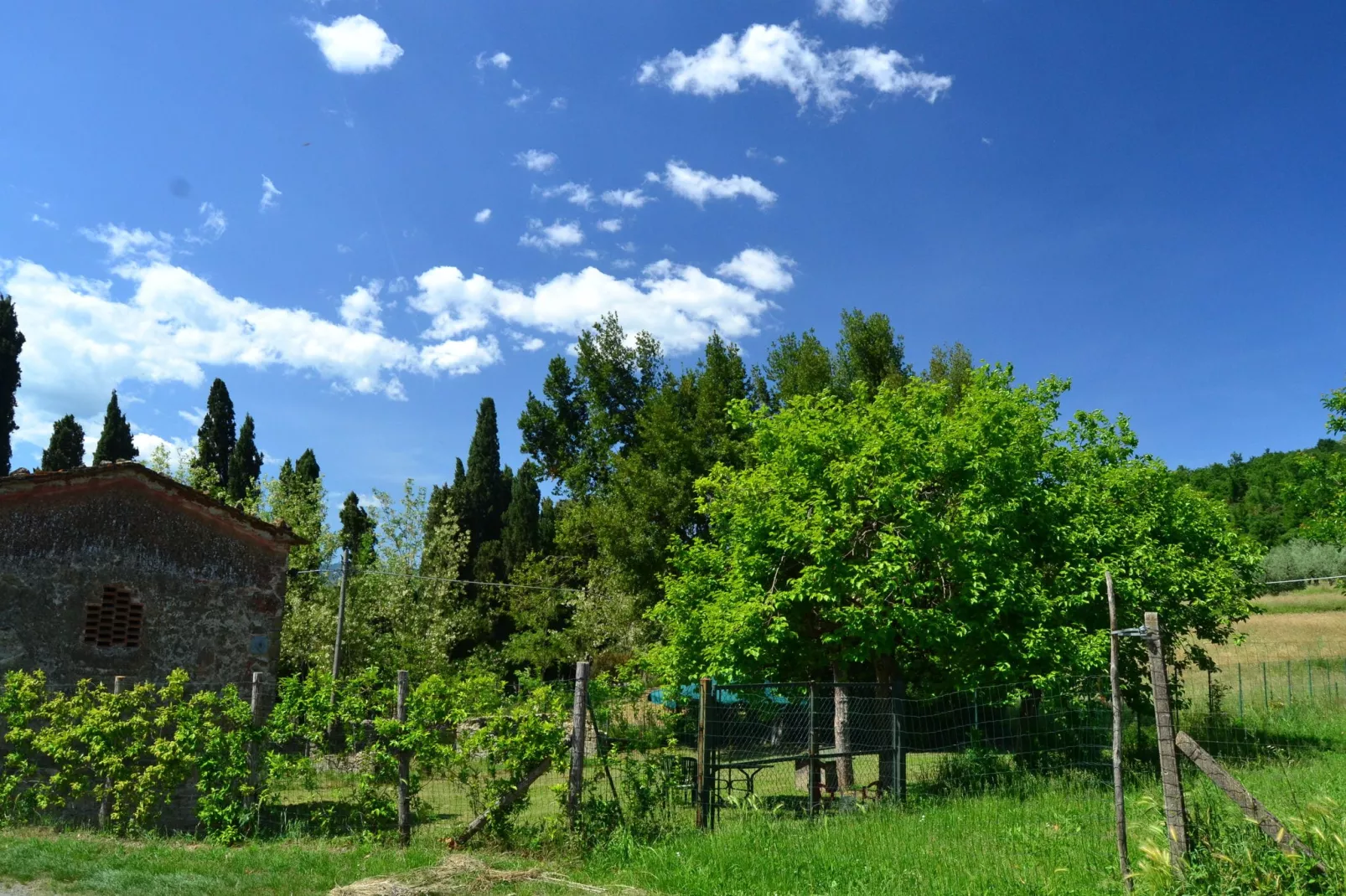 Villa dei Tarocchi-Gebieden zomer 1km