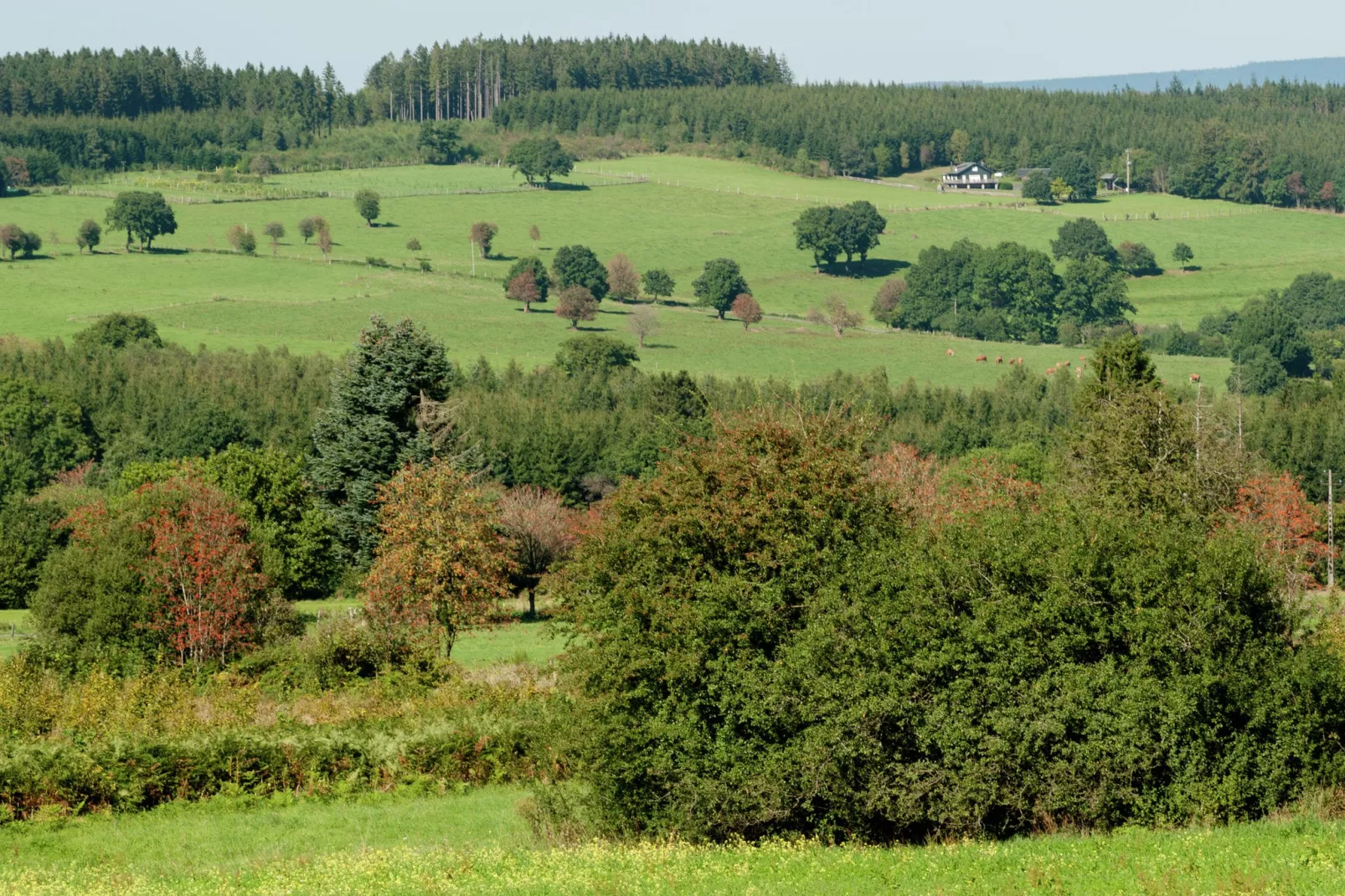 Etang du Curé-Gebieden zomer 5km