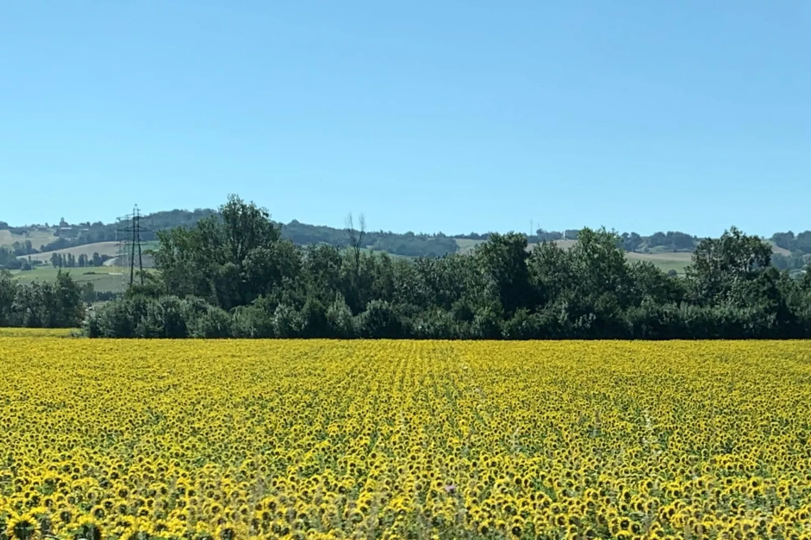 Maison Joie de Vivre-Gebieden zomer 5km