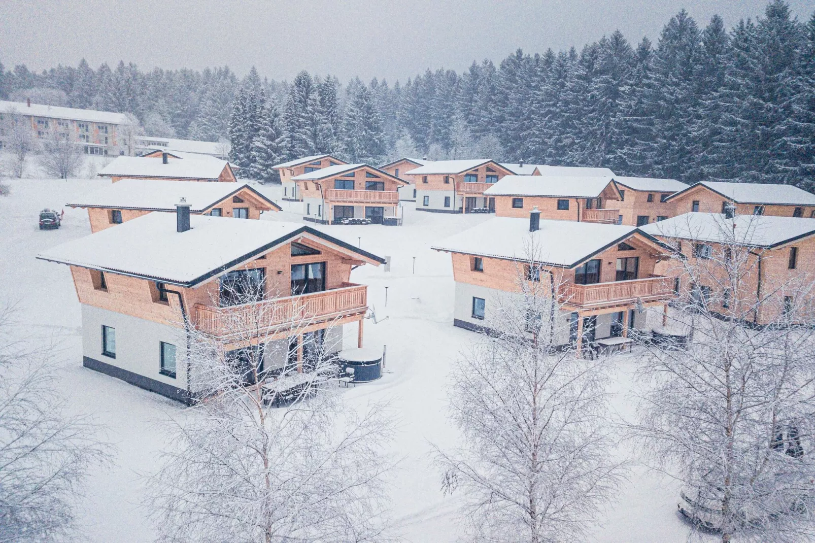 Chalet Großer Arber-Exterieur winter