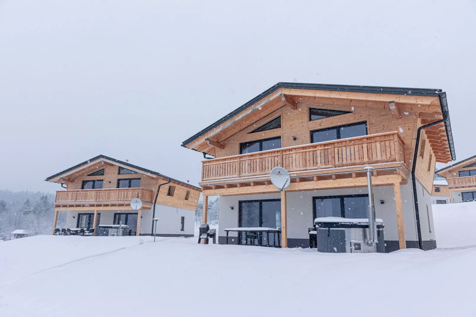 Chalet Großer Arber-Exterieur winter