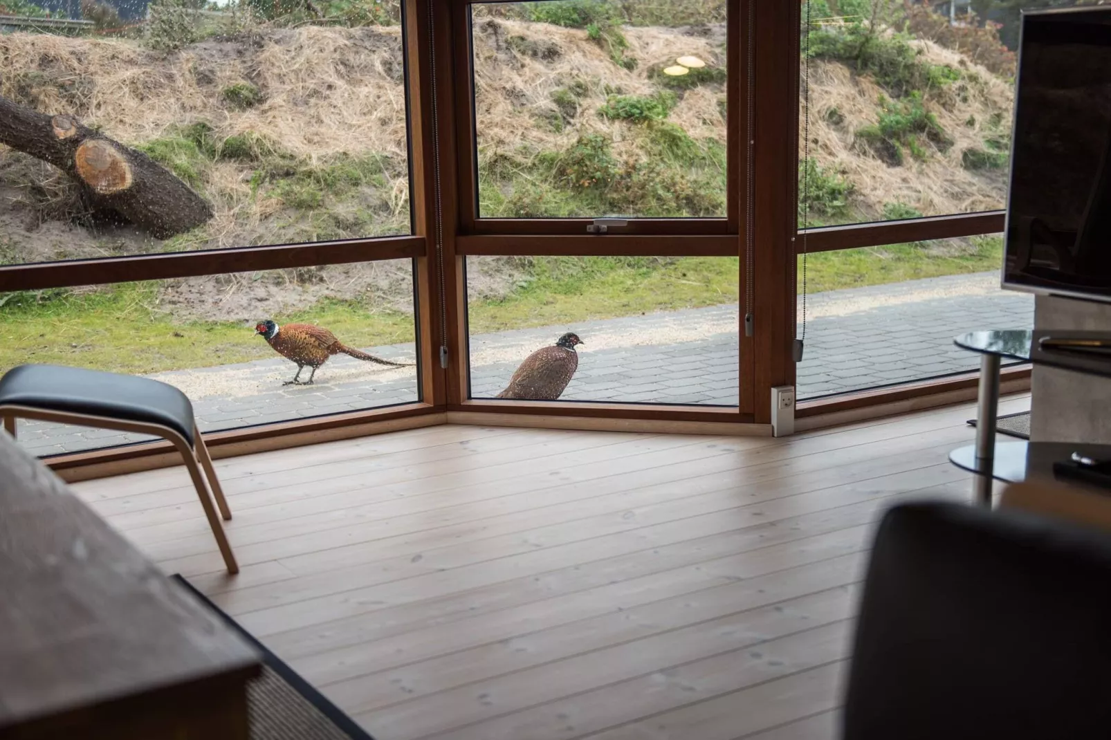 6 persoons vakantie huis in Fanø-Binnen