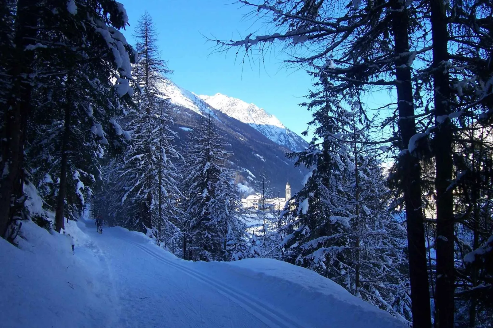 Résidence Les Belles Roches 3-Gebied winter 20km