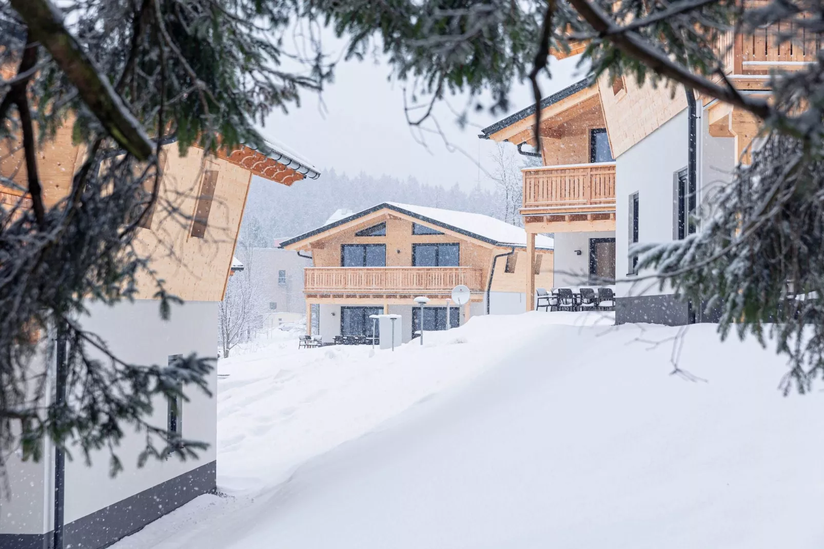 Chalet Großer Arber-Exterieur winter