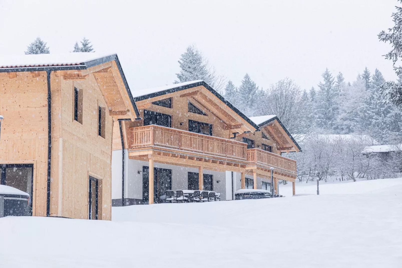 Chalet Großer Arber-Exterieur winter