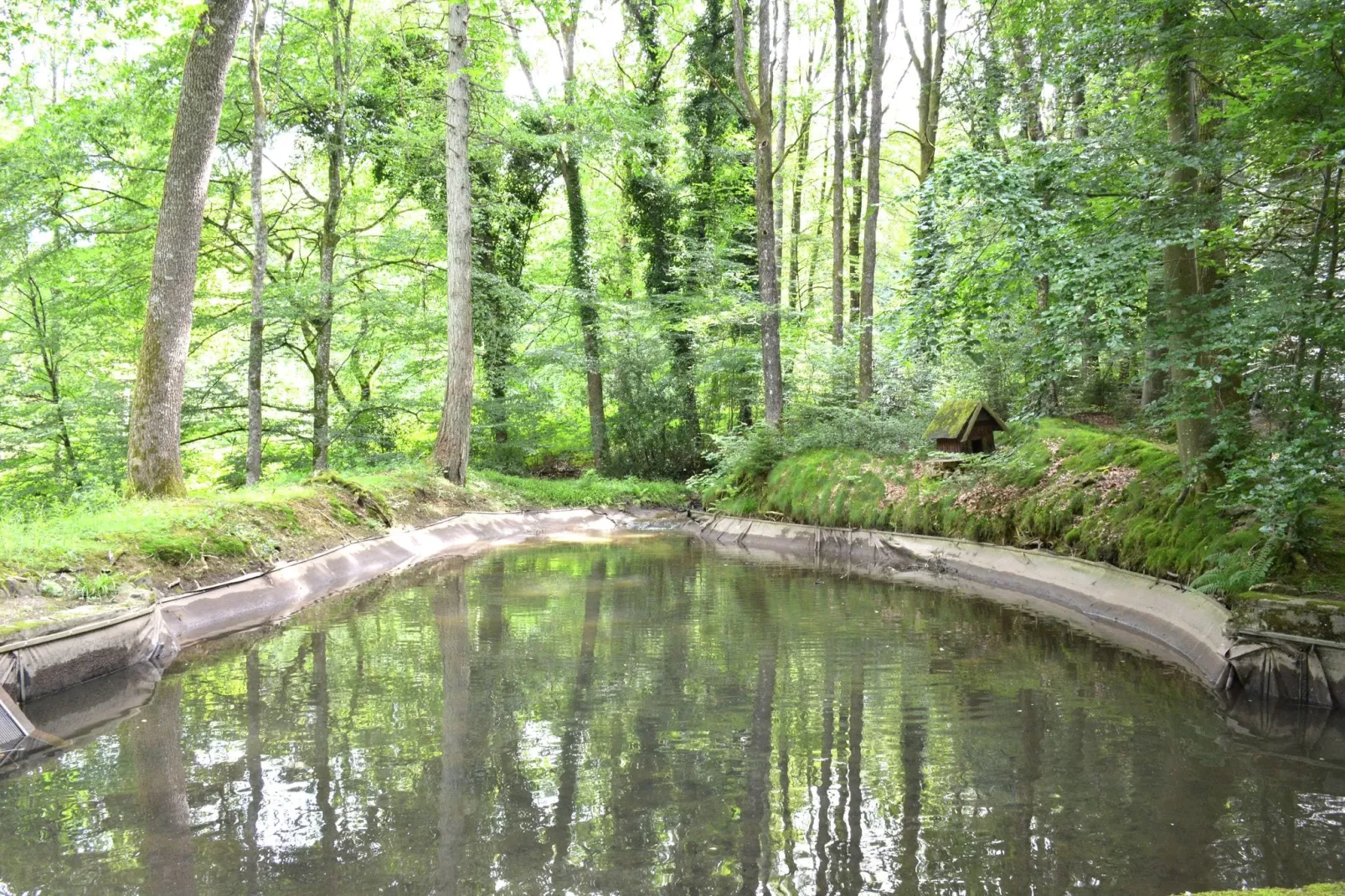 Le Moulin Sylvestre-Tuinen zomer